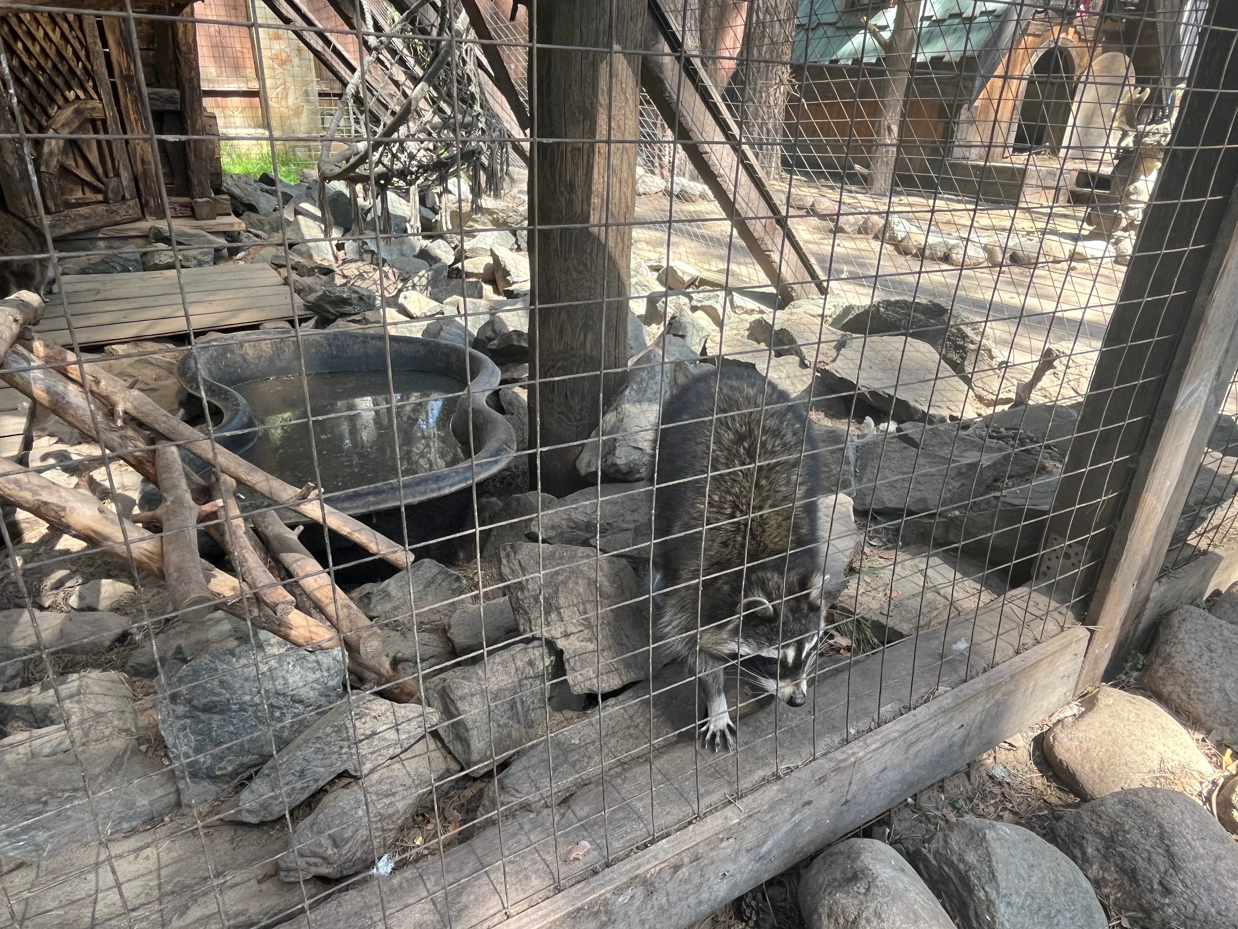 Фото Best Western Plus Park Hotel Brussels