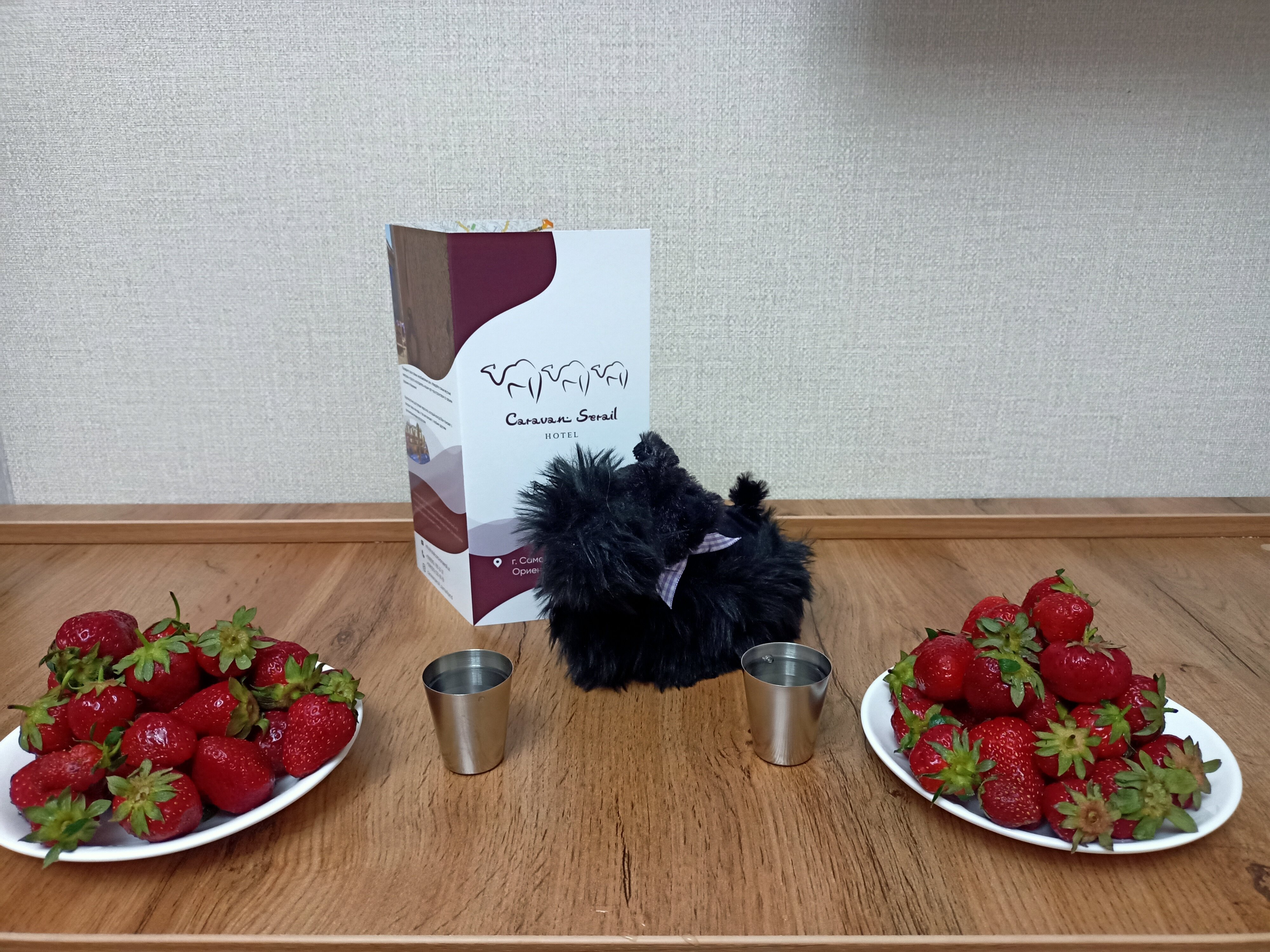 Фото Caravan Serail Hotel