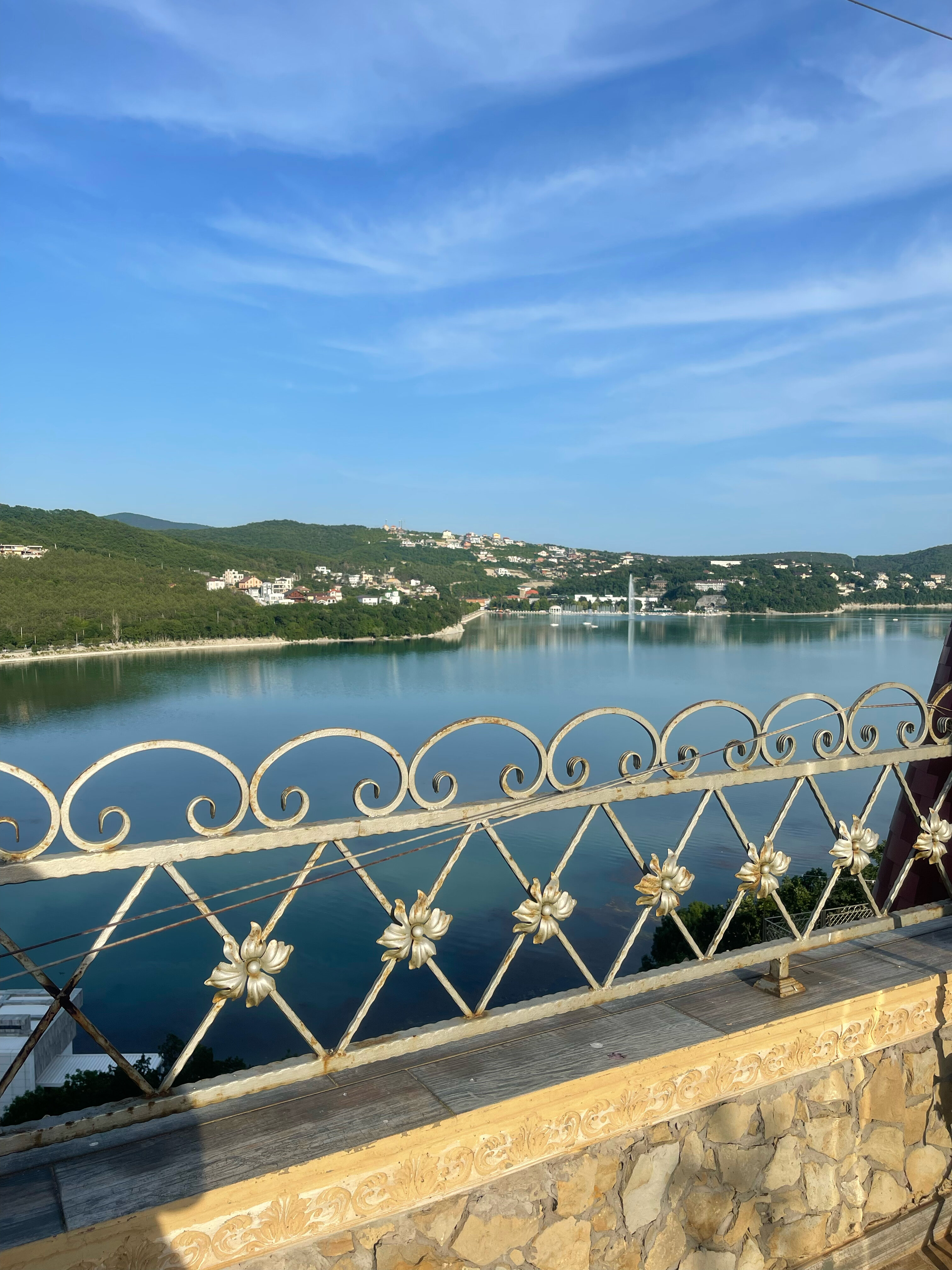 Фото Крылья