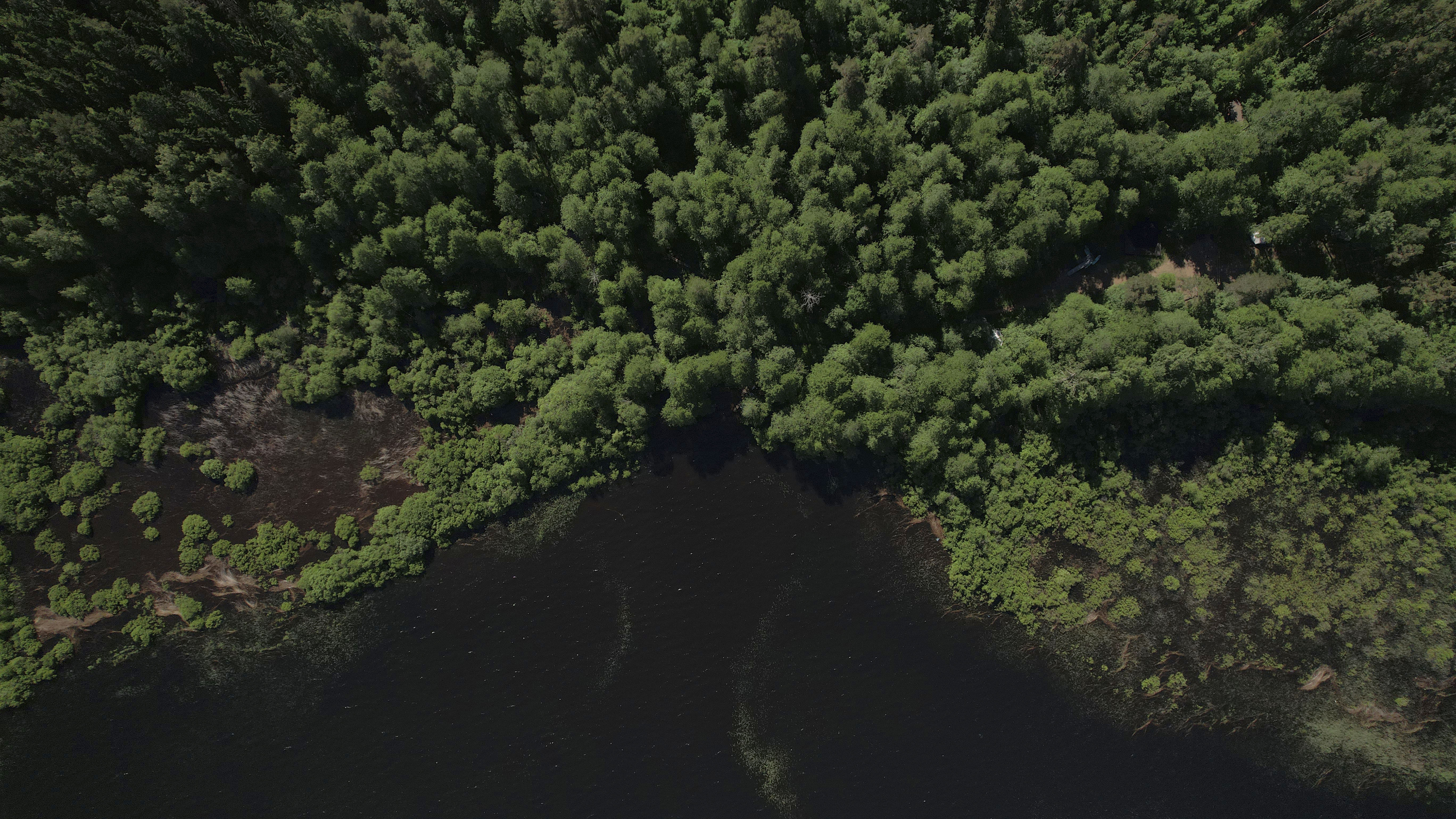 Фото Shanti Home Les