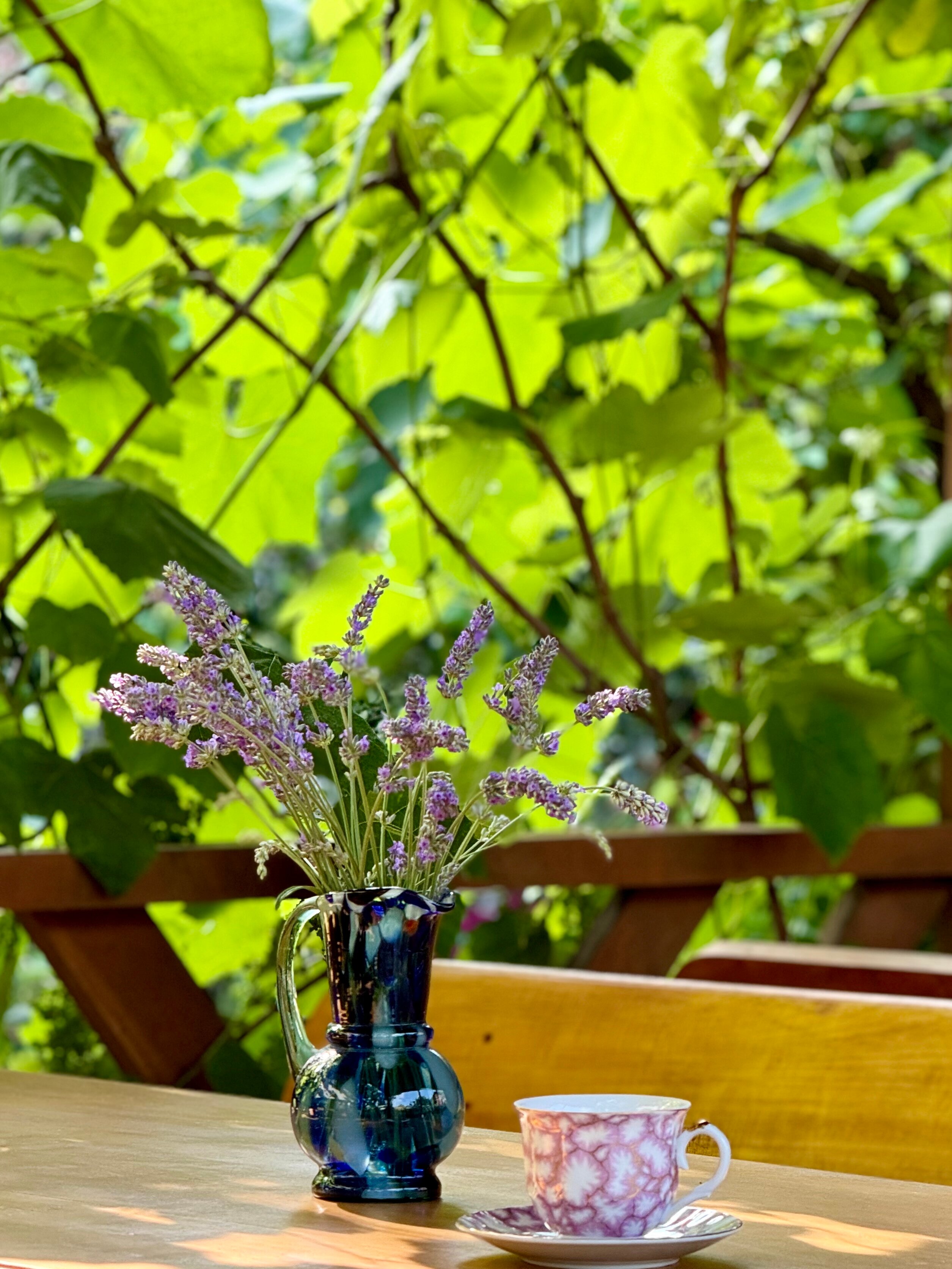 Фото Гостевой дом Кипарис