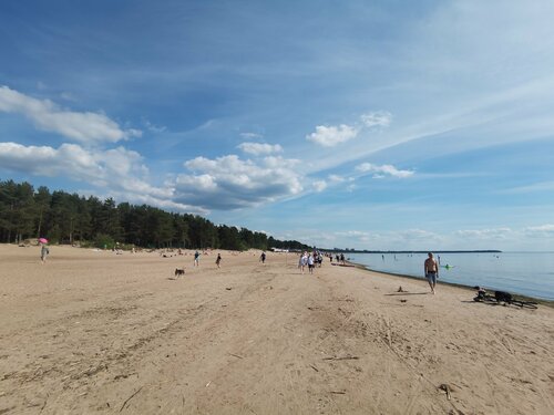 20-25 жас аралығындағы дәретханаға зәр алып жатқан қыздарға порно тыңшылық