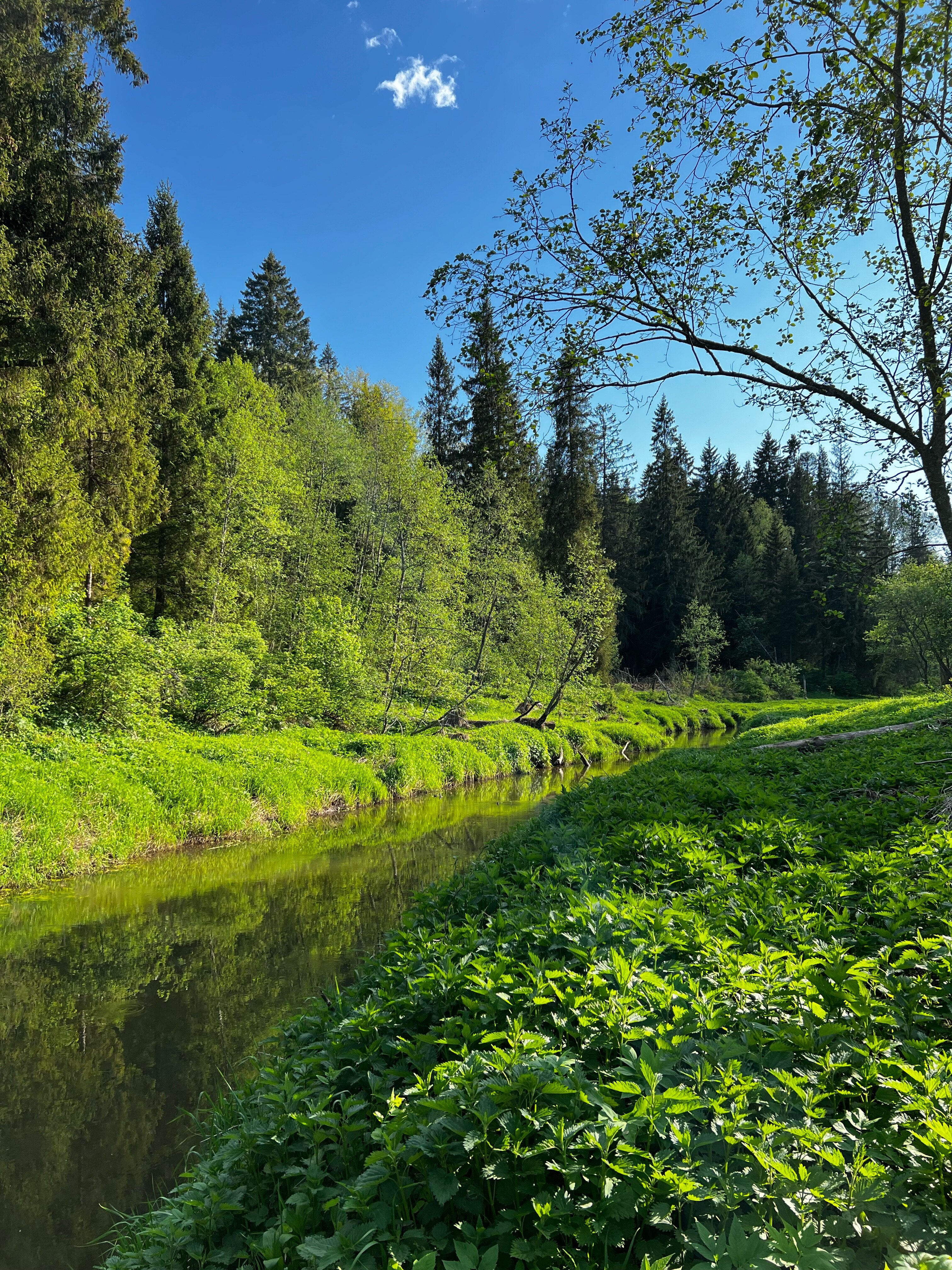 Фото Рядом Даль