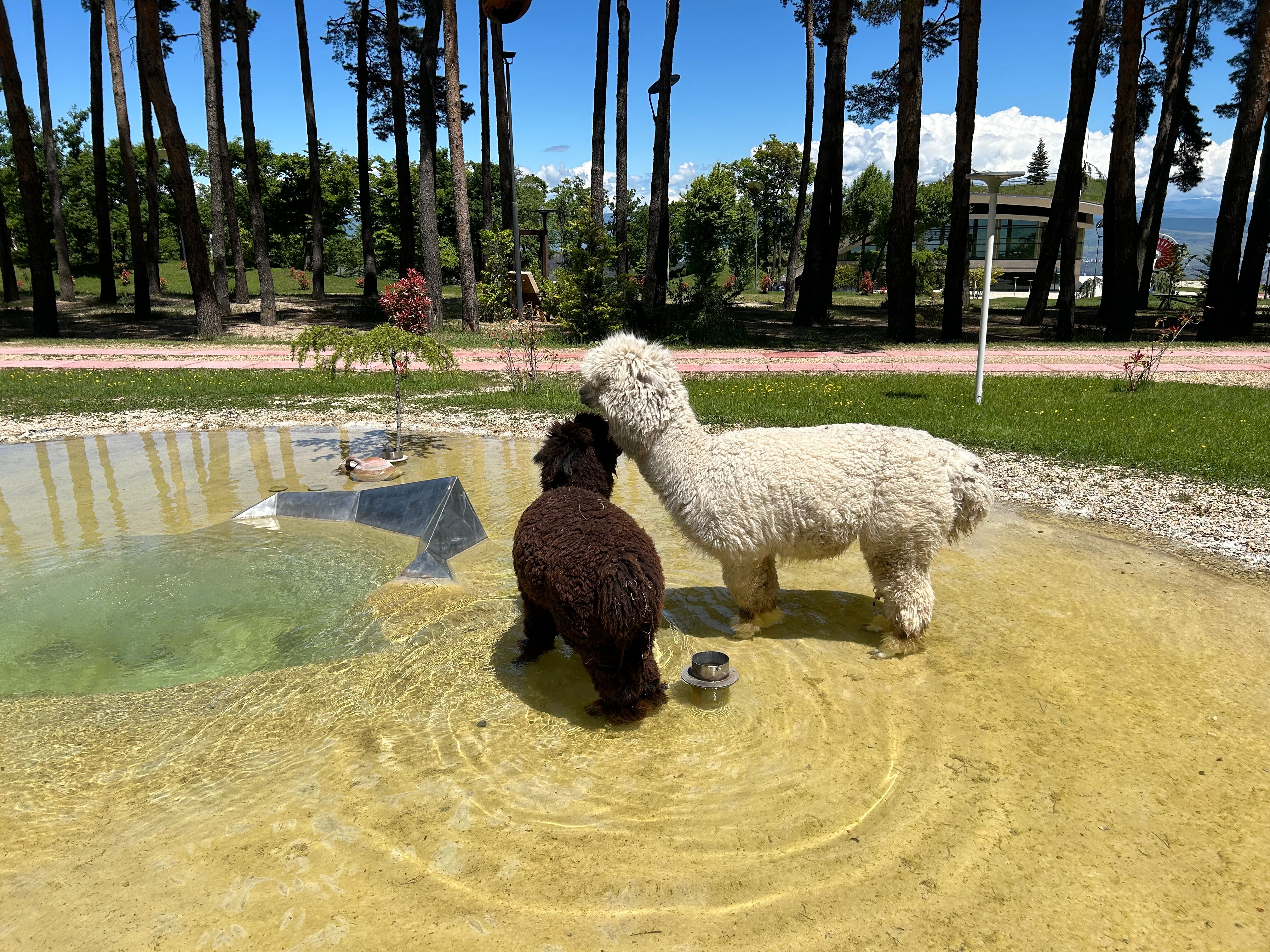 Фото Bioli Wellness Resort