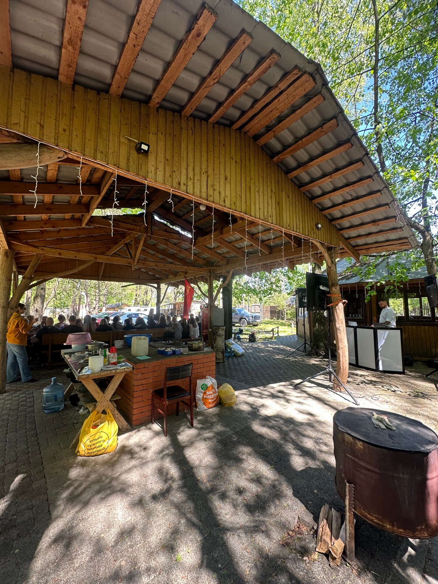 Фото Подберёзовик