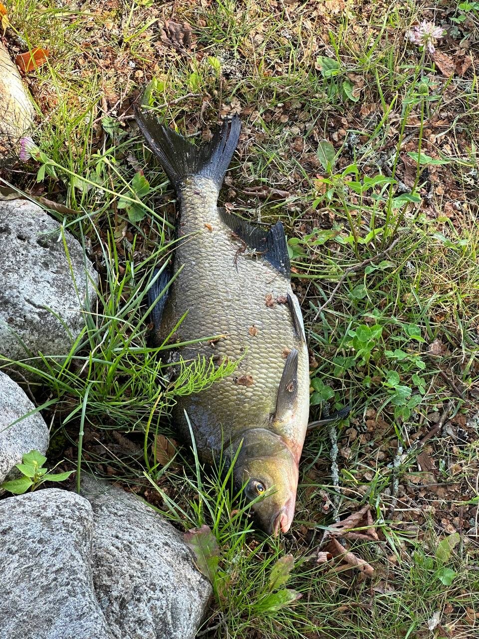 Фото У Янины