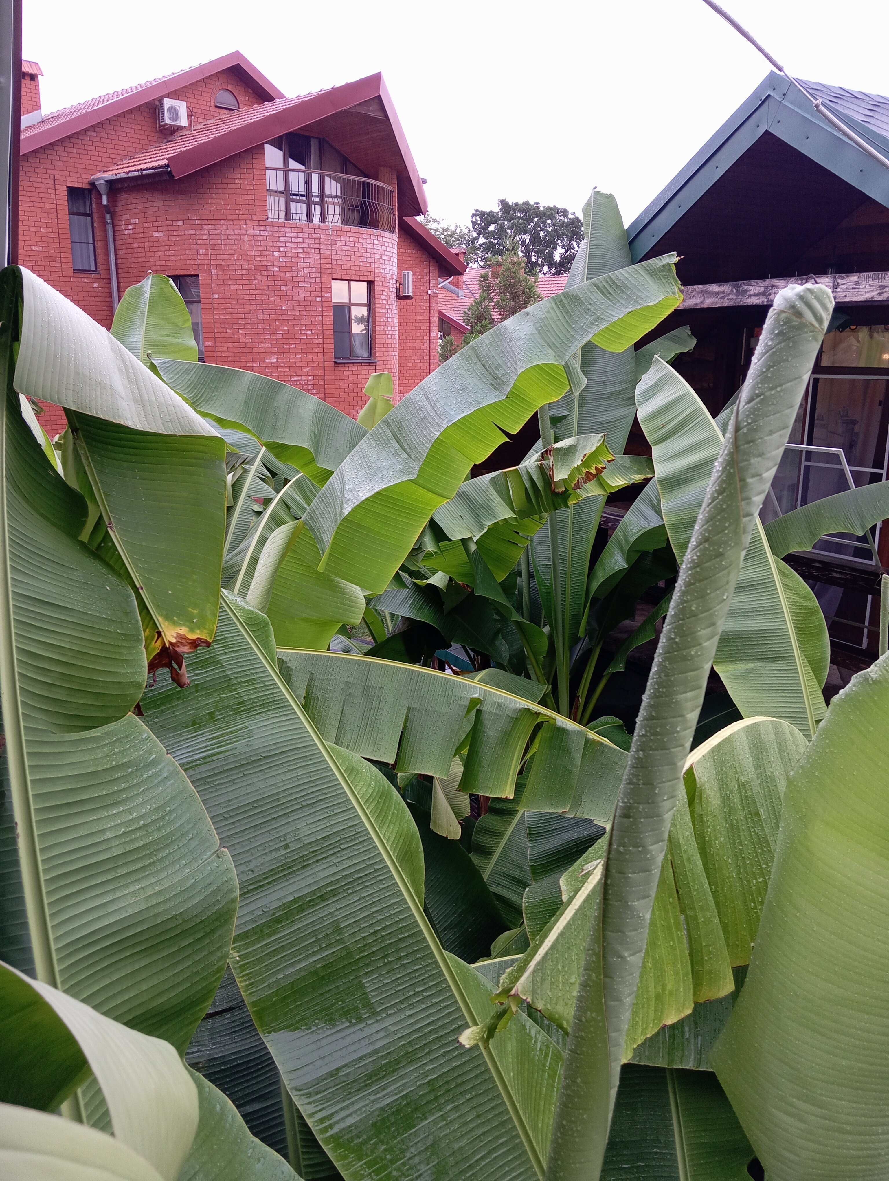 Фото Пенаты