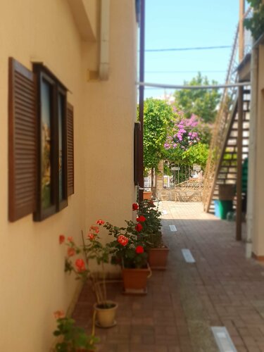 Внешний вид отеля Мини-гостиница Marco Club в Гагре, фото 5