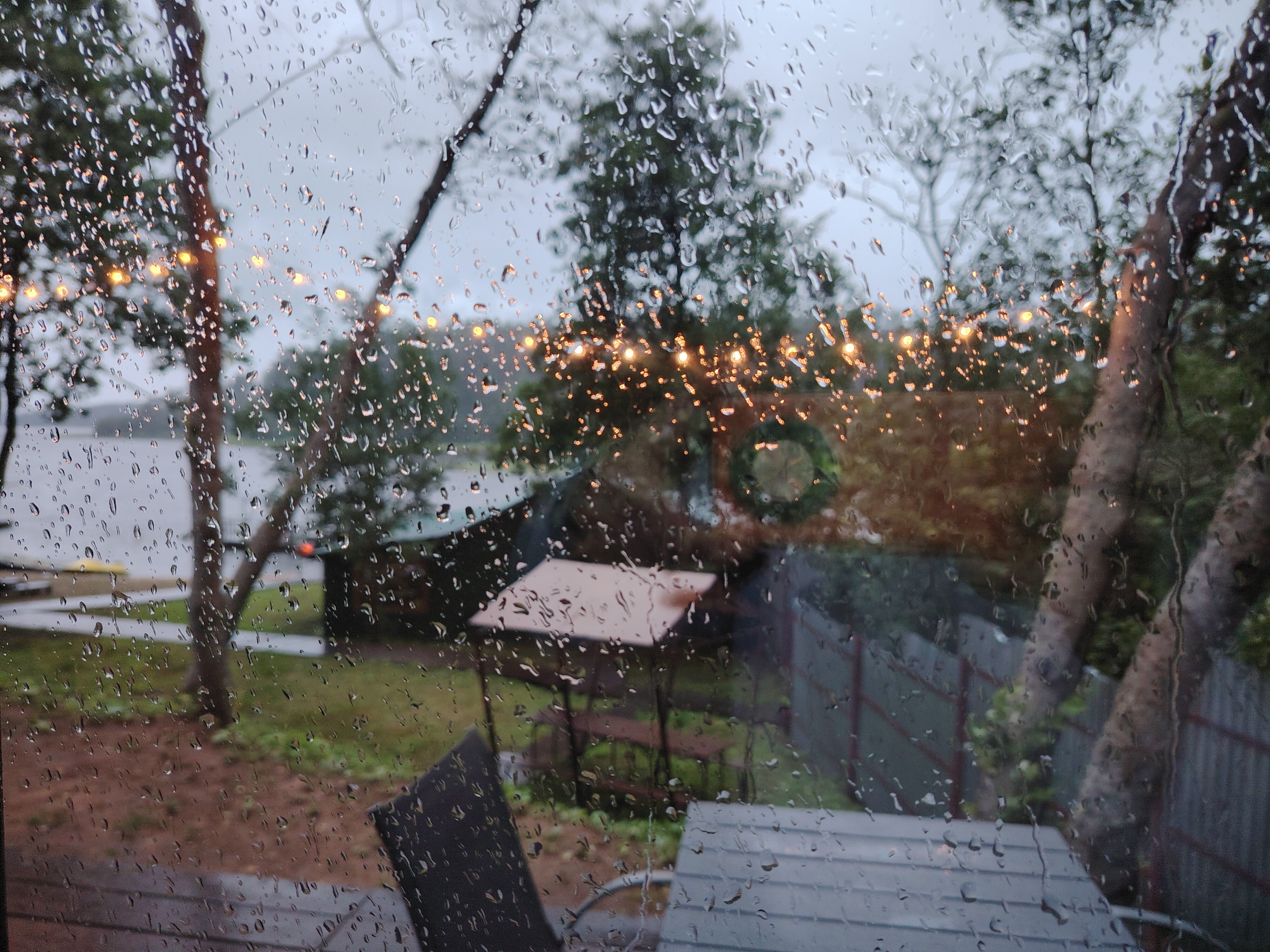 Фото Селигерия