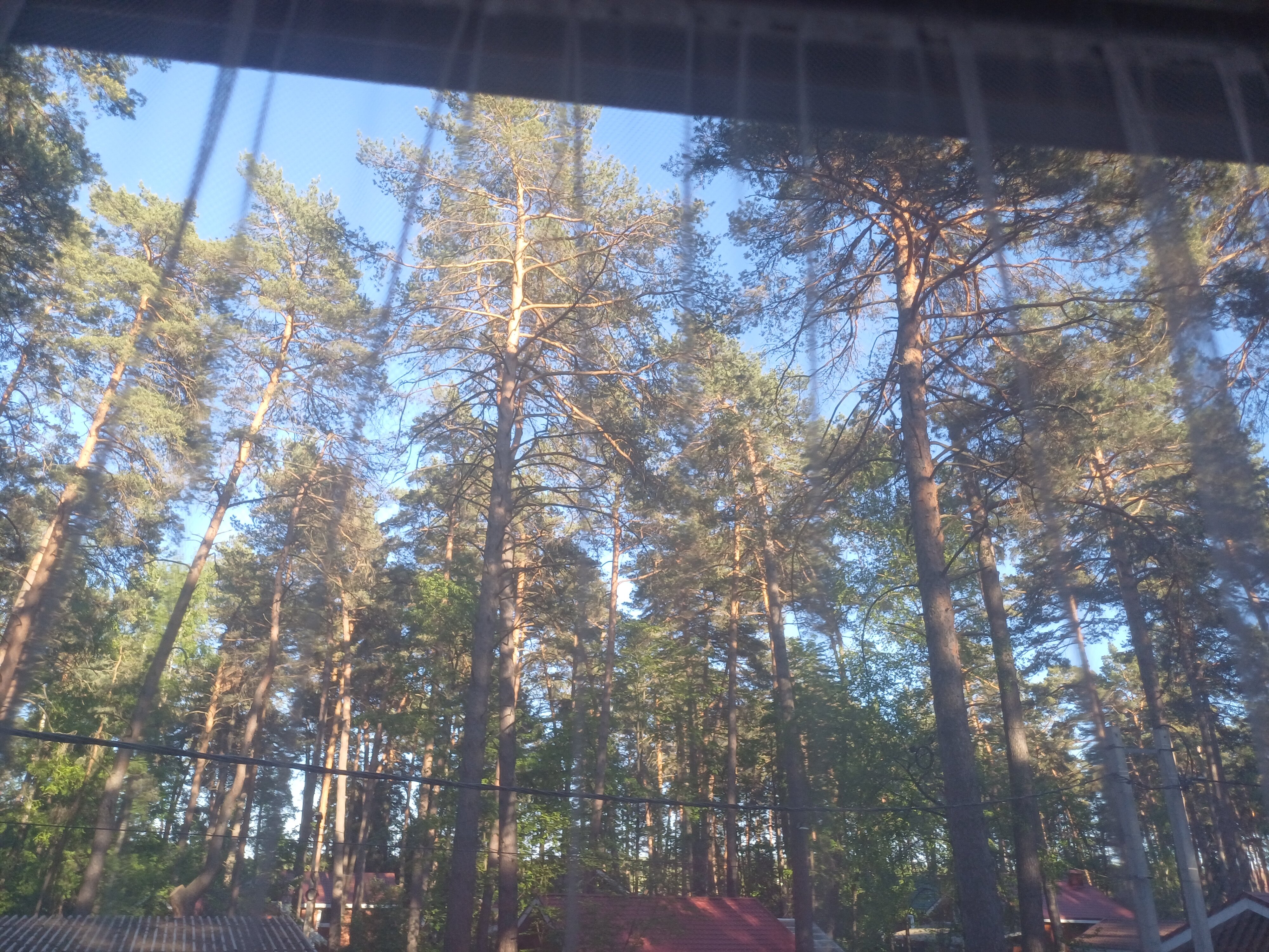 Фото Шепот Вашаны