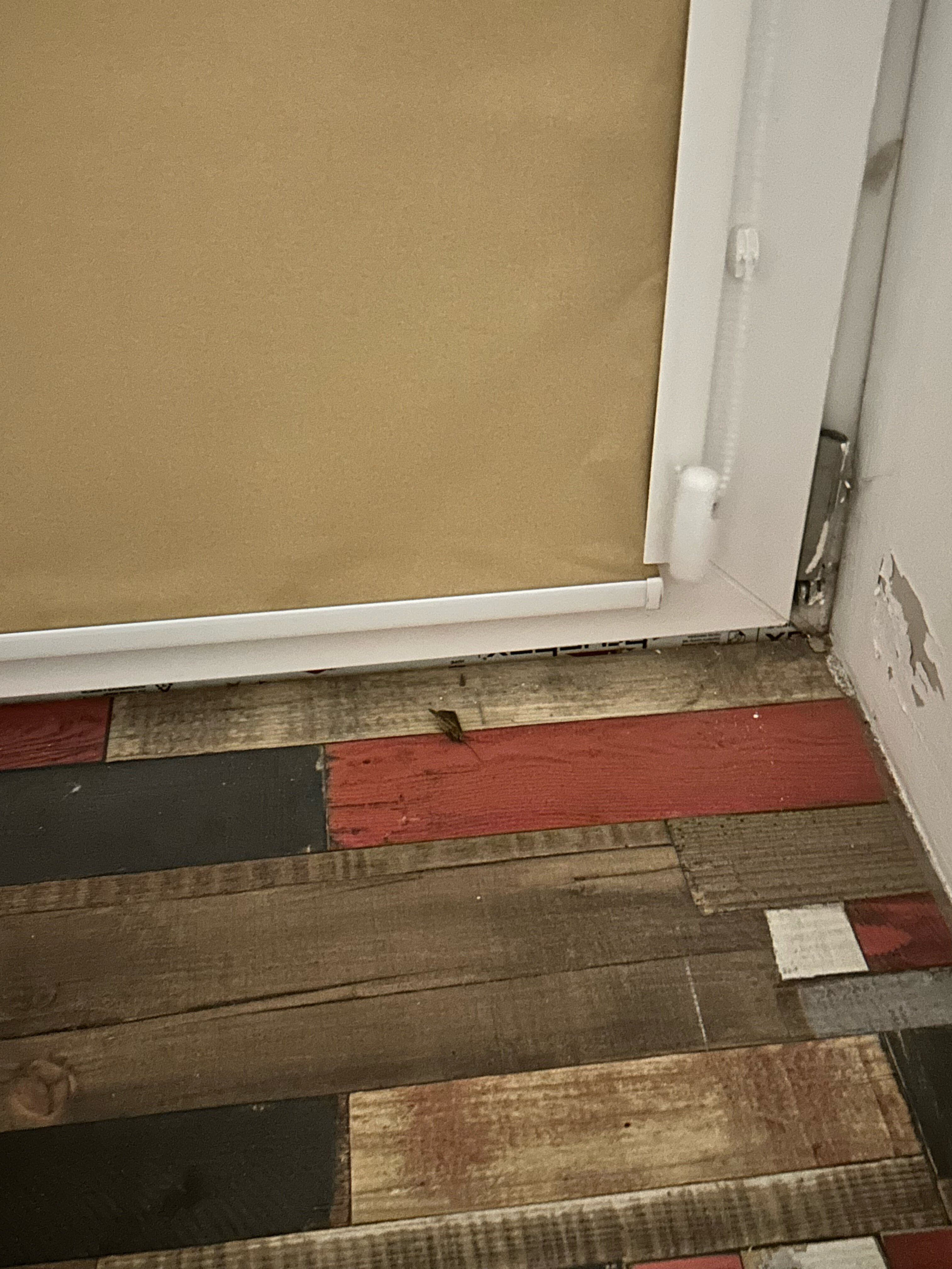 Фото Inn 812 Griboedov