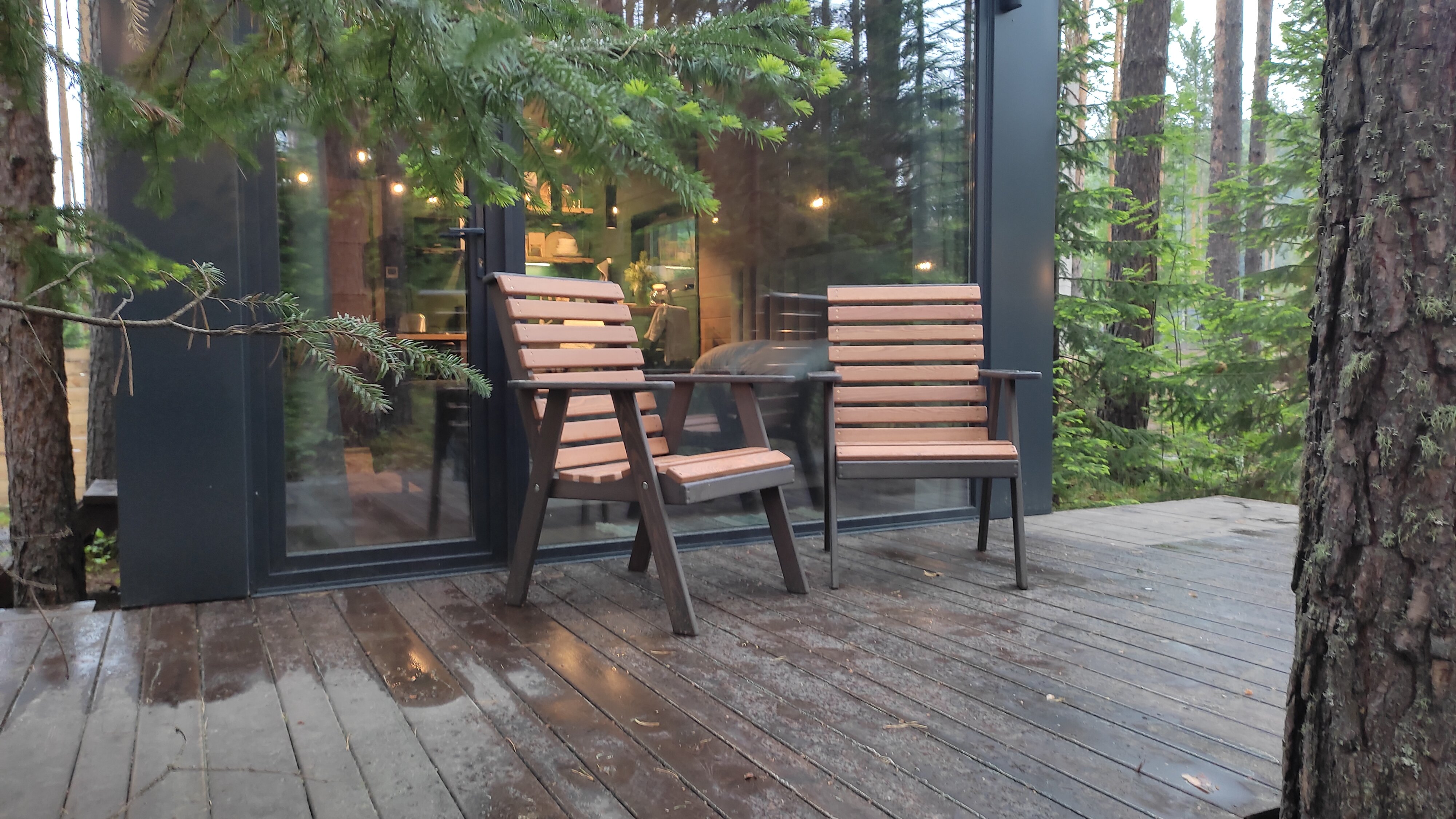 Фото Ёлки да Сосны