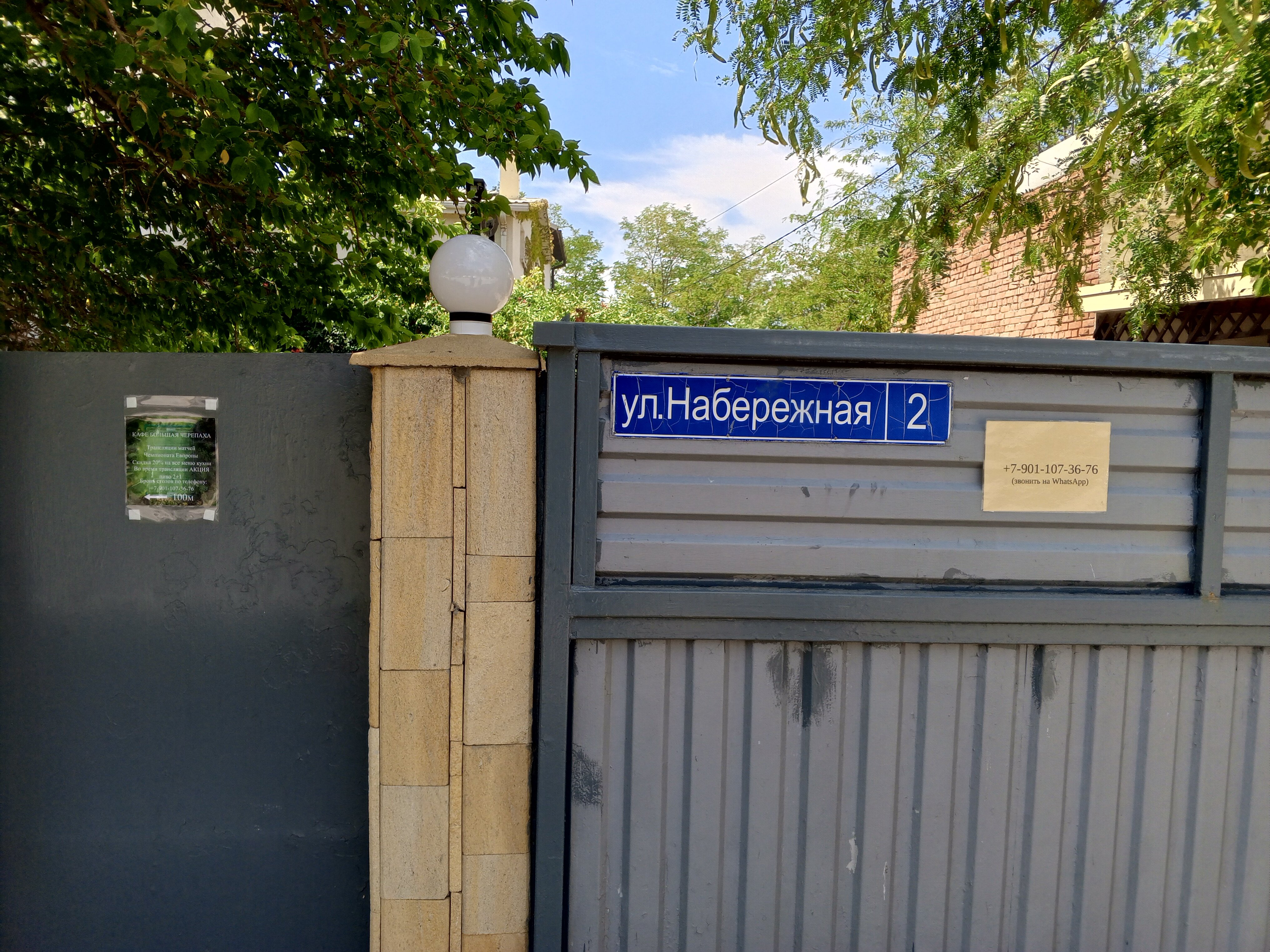 Фото Большая Черепаха