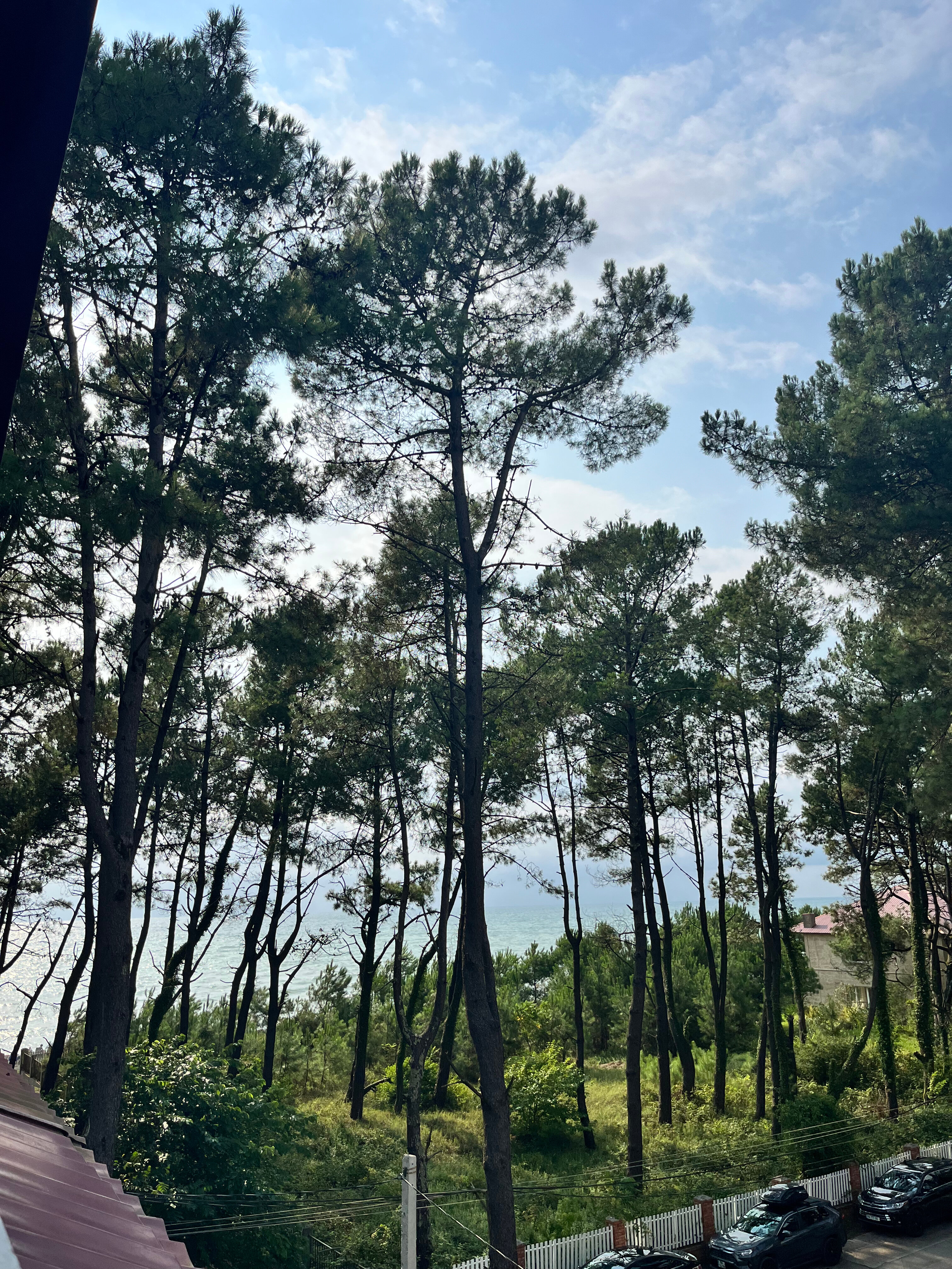 Фото Отель GiNa Shekvetili