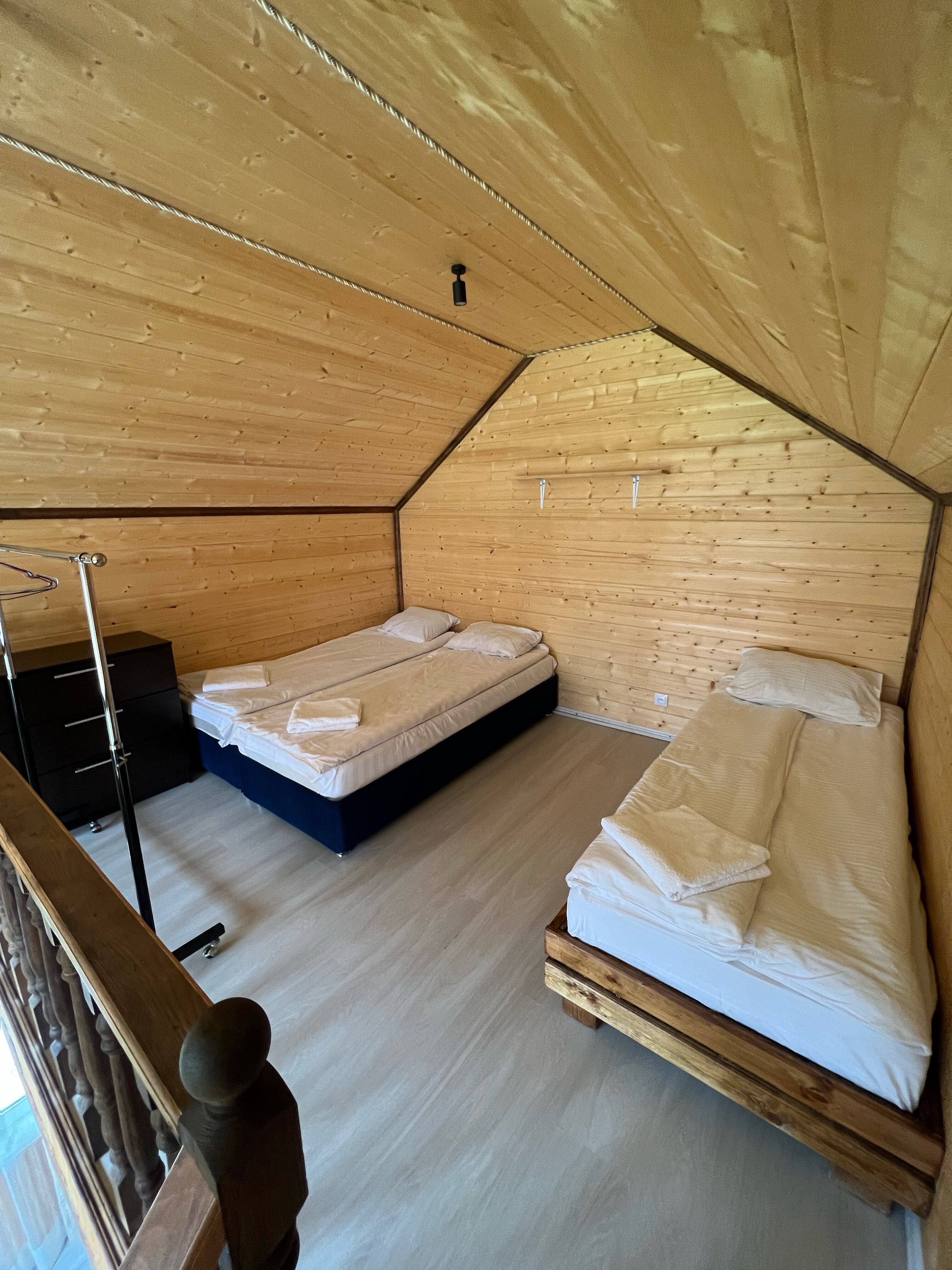 Фото 3 сосны