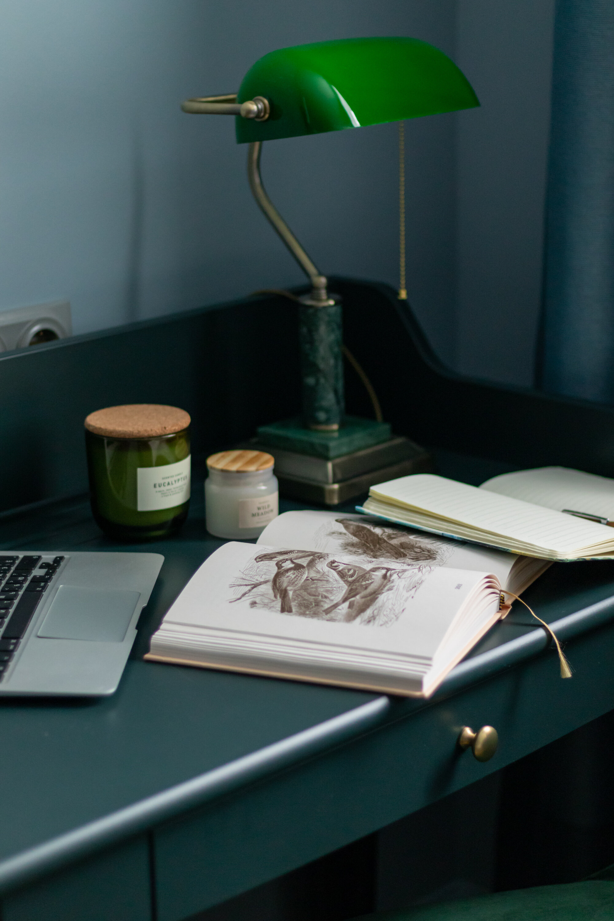 Фото Синяя птица