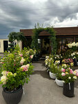 Royal Garden (Republic of Tatarstan, Vysokogorskiy rayon, M-7 Volga, 808-y kilometr, 8), garden center