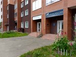 Опора России (Oktyabrskiy Avenue, 212) ، منظمات المجتمع