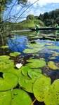 Na vesle (ploshchad Svobody, 7), boat tours