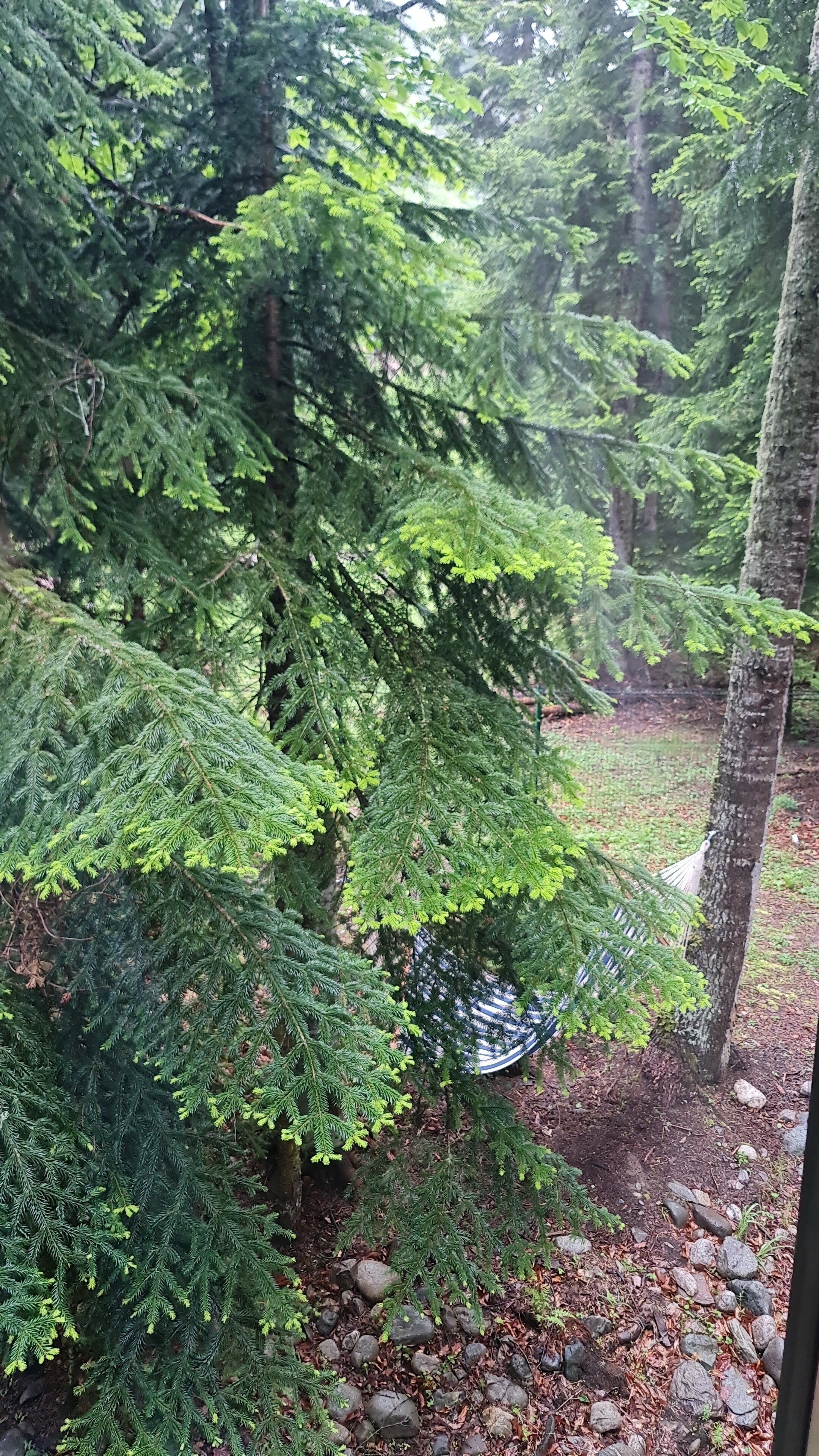 Фото Даймонд хауз