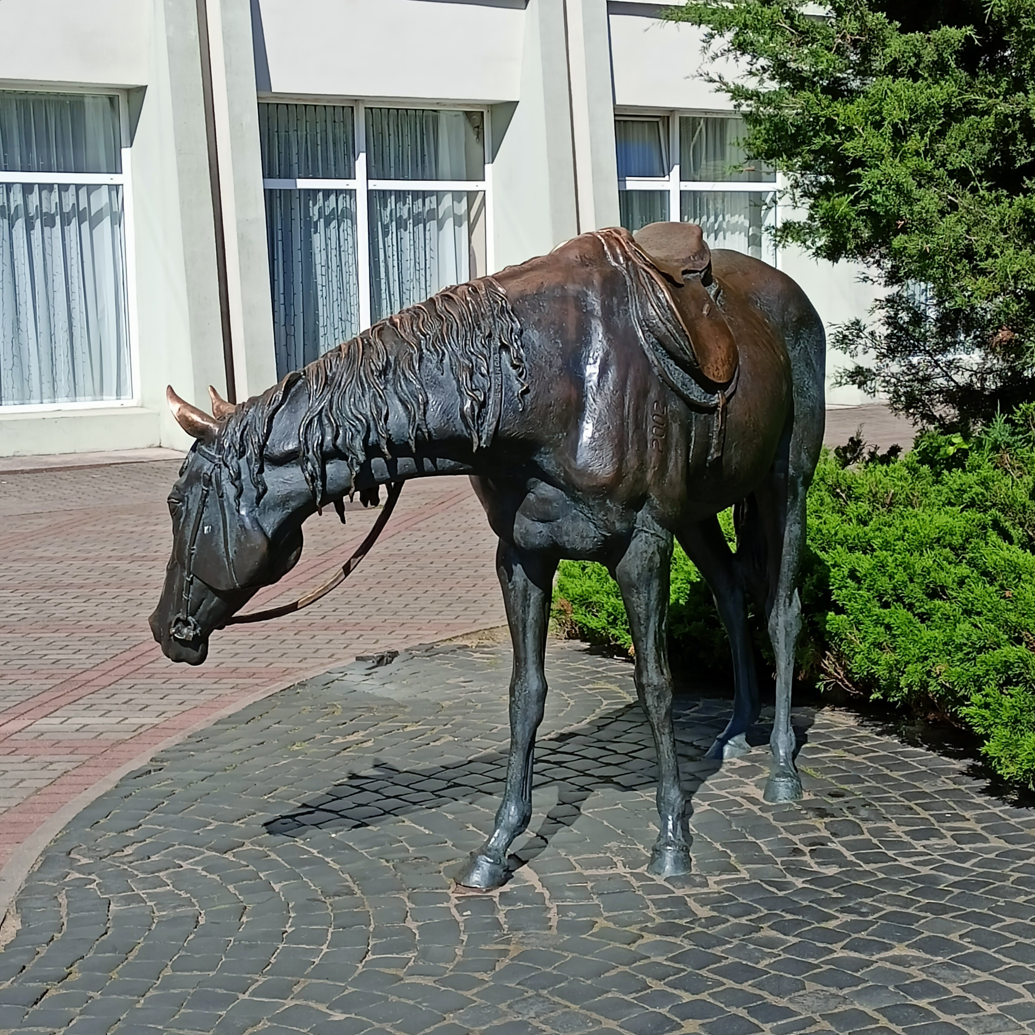 Фото Горизонт