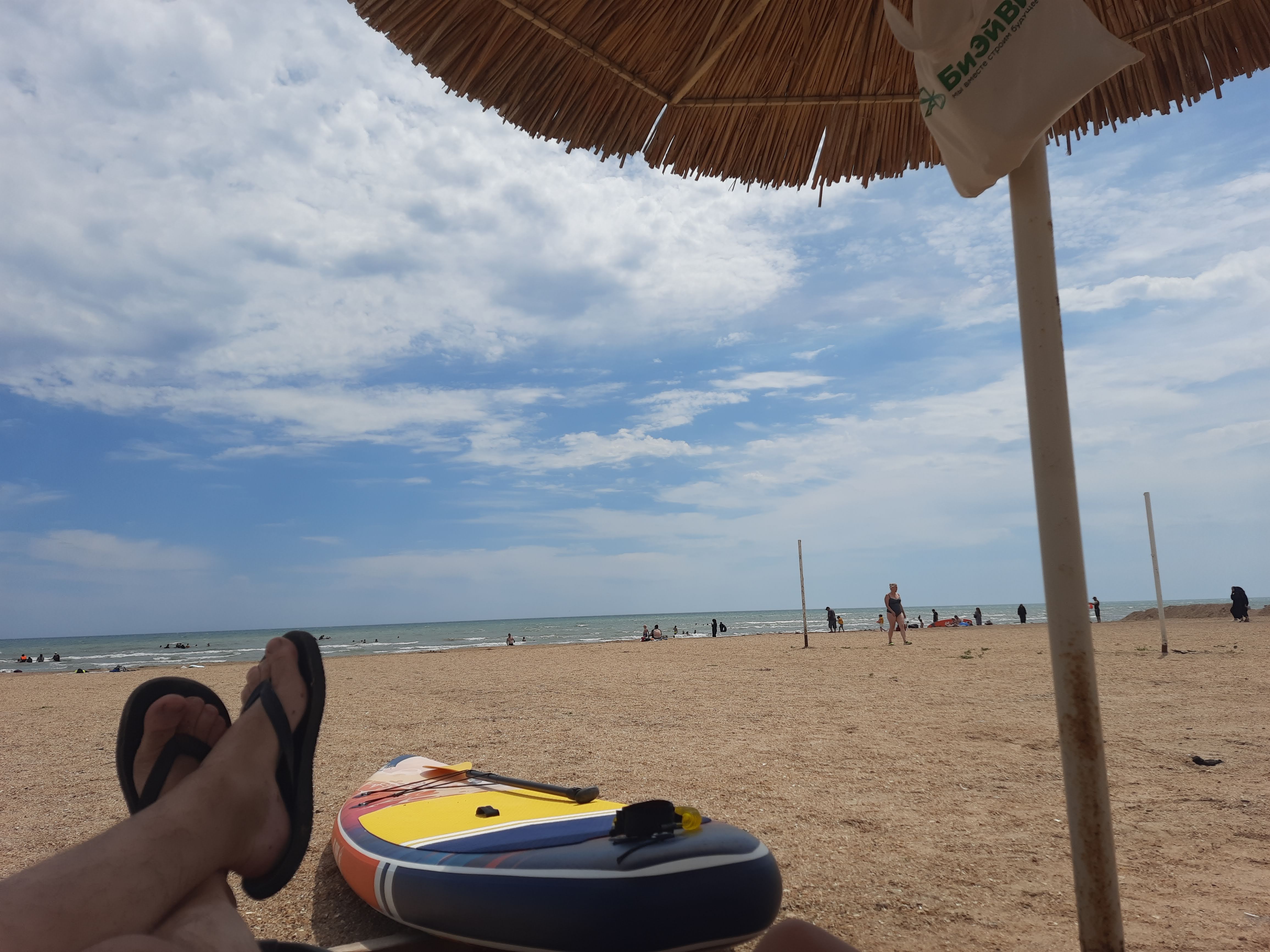 Фото Белуга