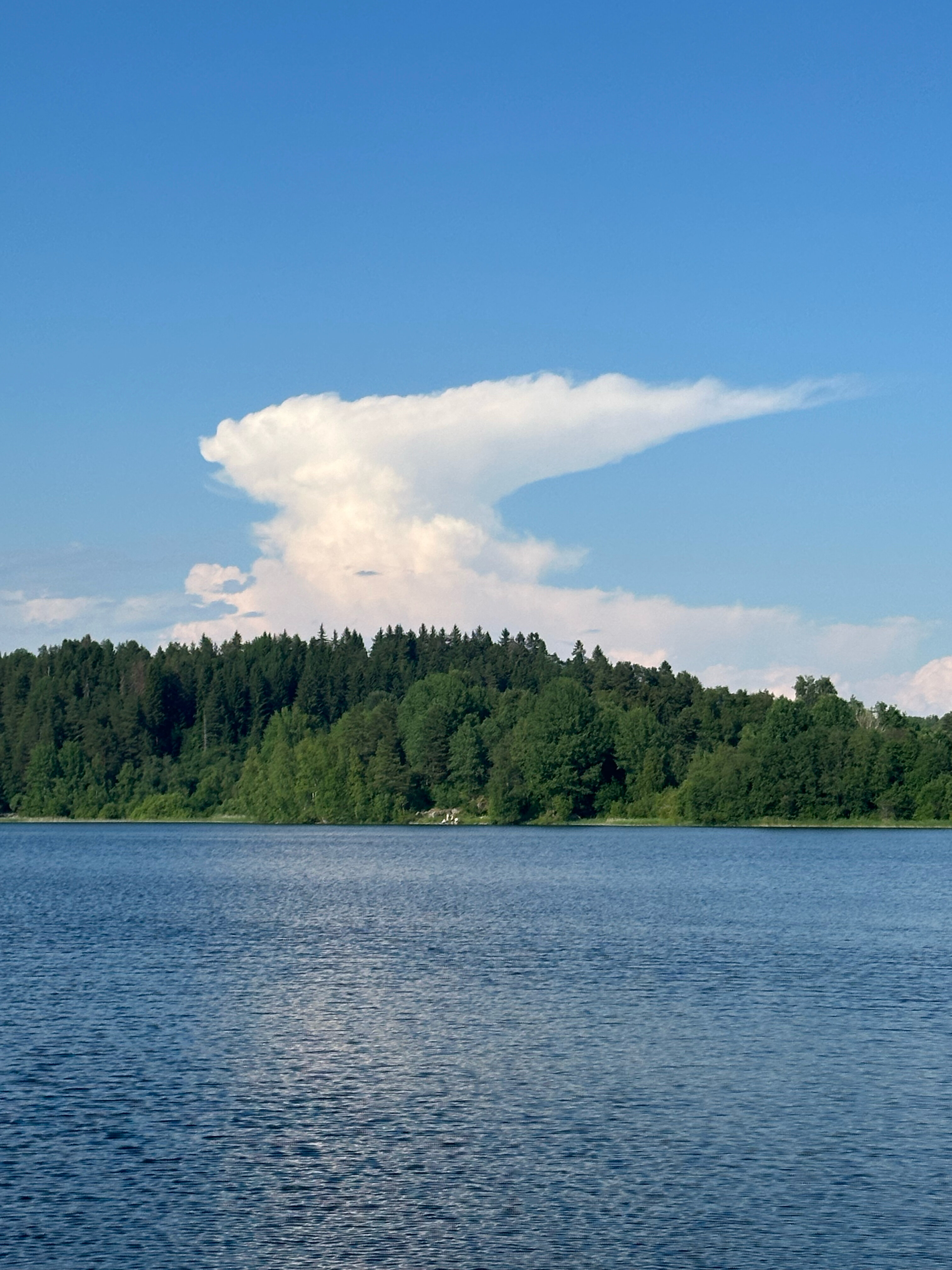 Фото Спящий залив