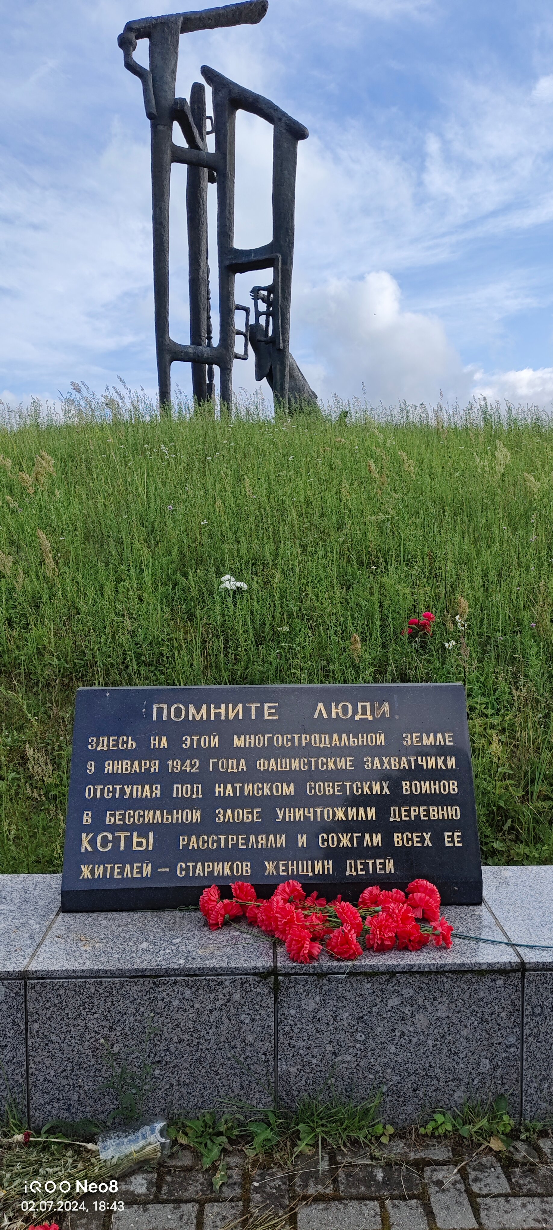 Фото Орлинка