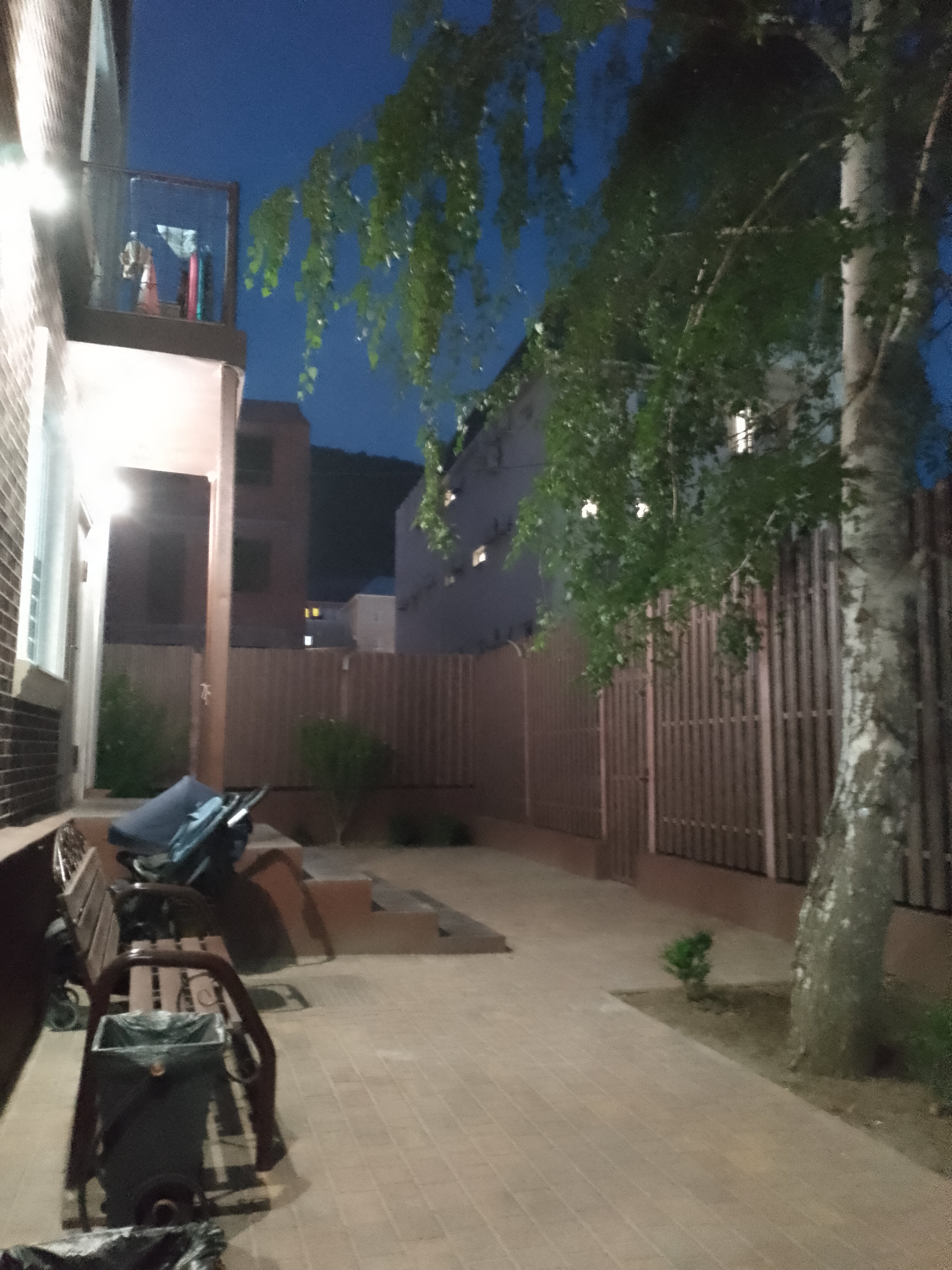 Фото Самшит