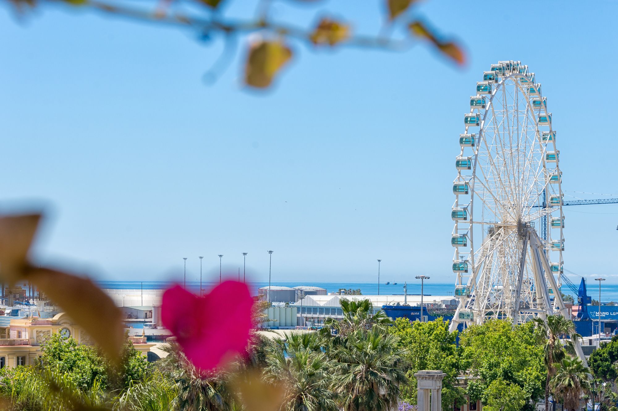 Фото Solaga Veletta