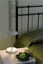 Фото Magna Cura B&b