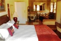 Фото Fox and Squirrel