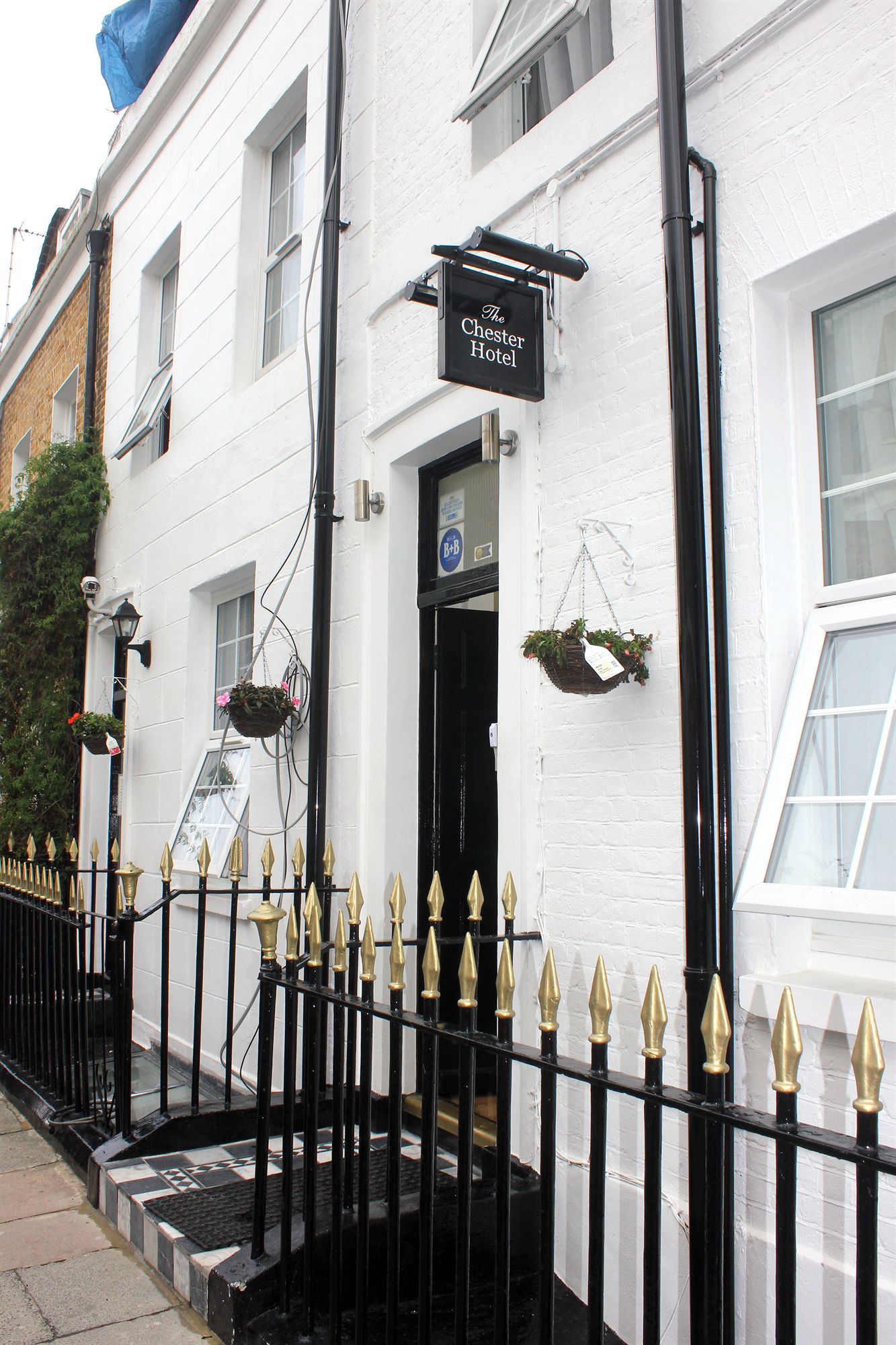 Фото Chester Hotel