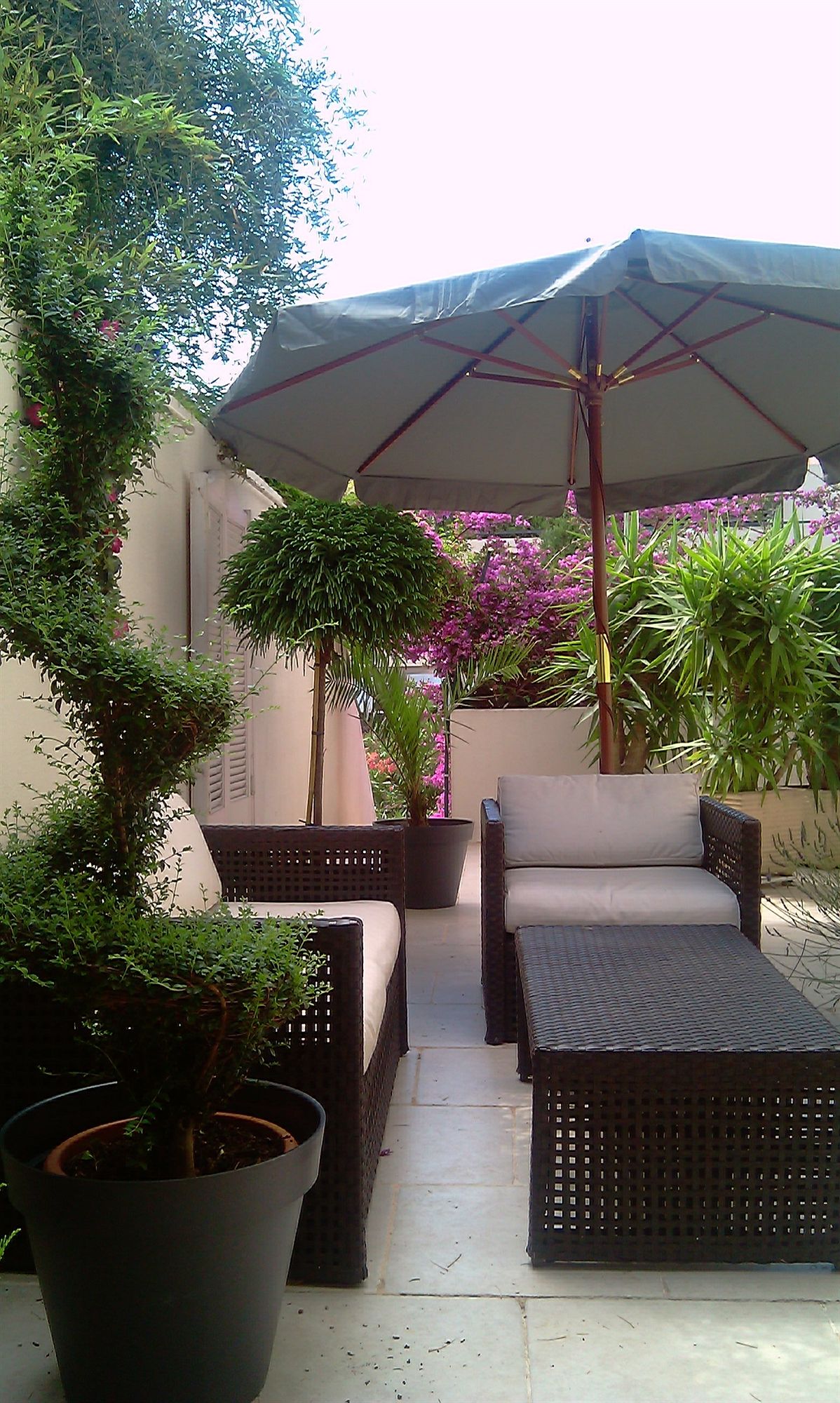 Фото Hôtel Bellevue Cannes