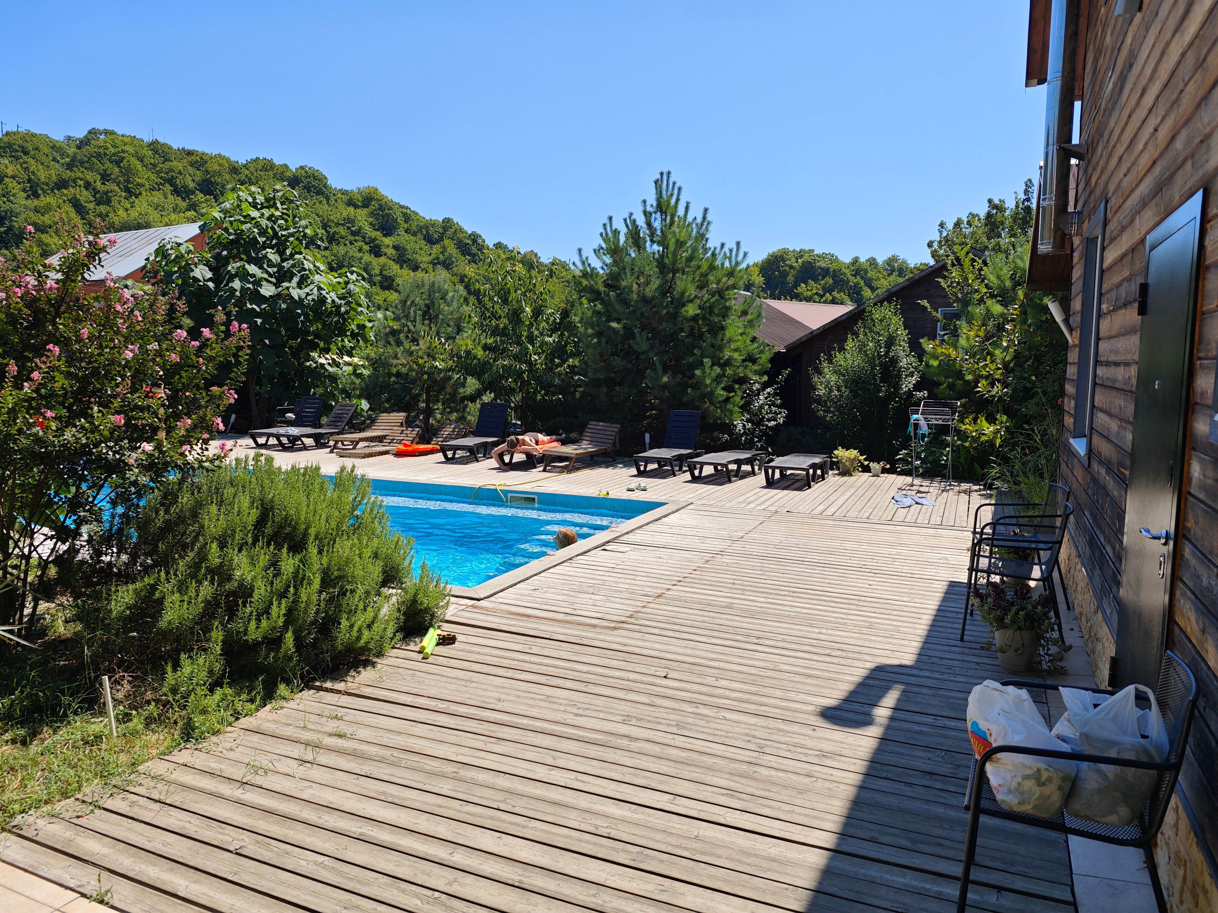 Фото Лесная поляна