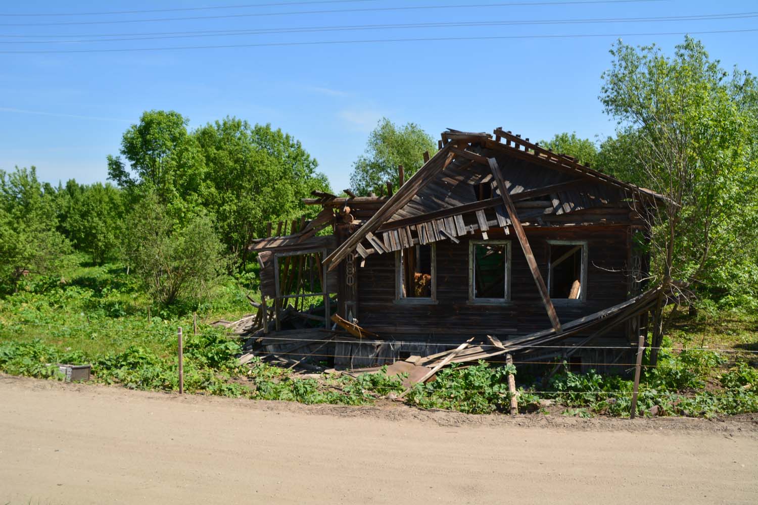 Фото Лес среди болот