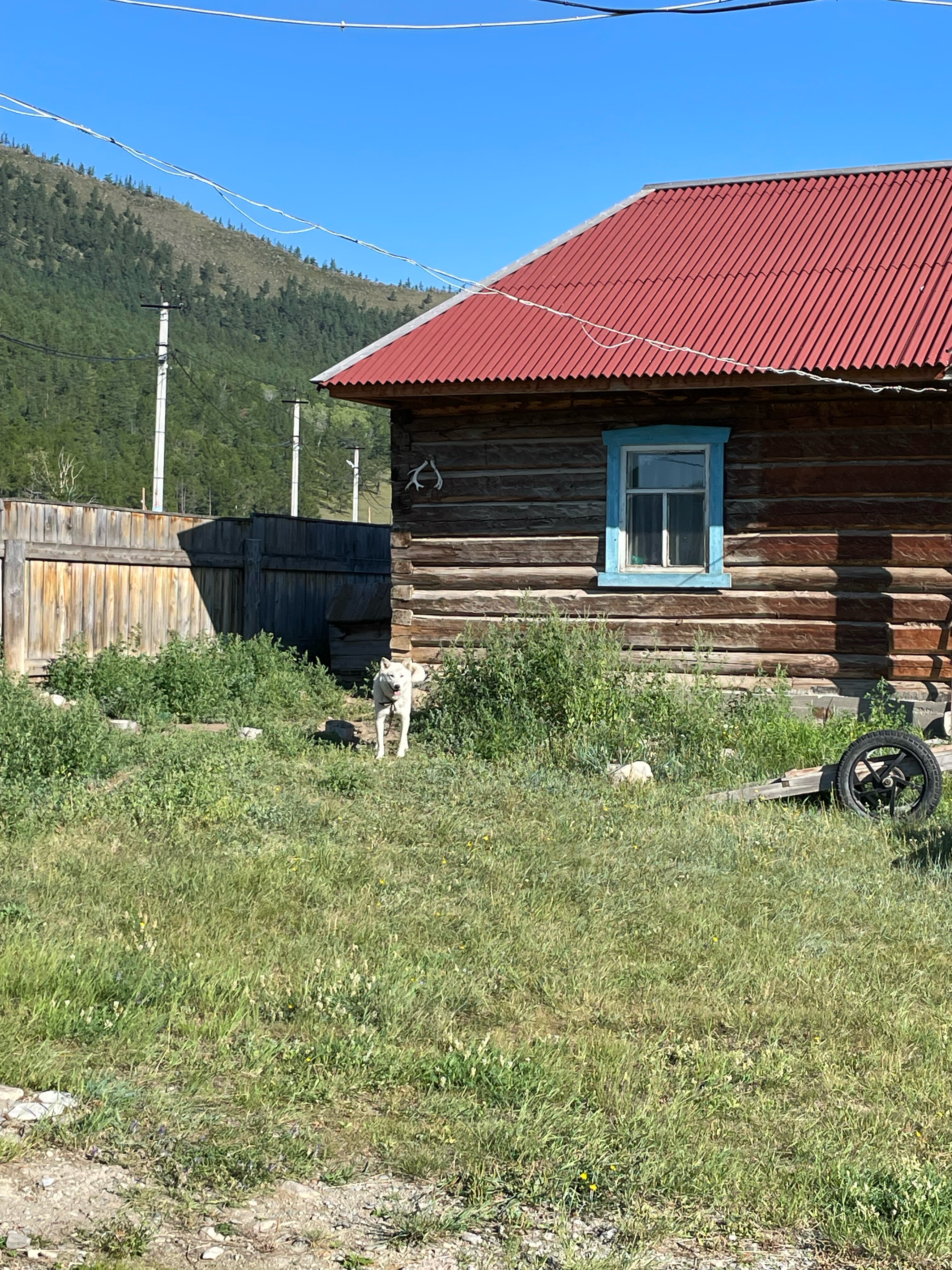 Фото Eastories farm