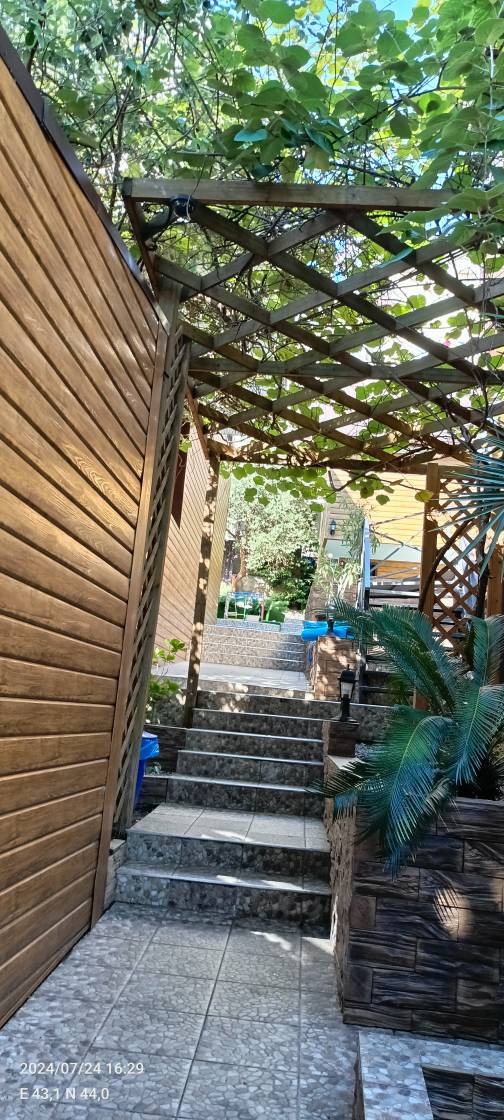 Фото Апельсин