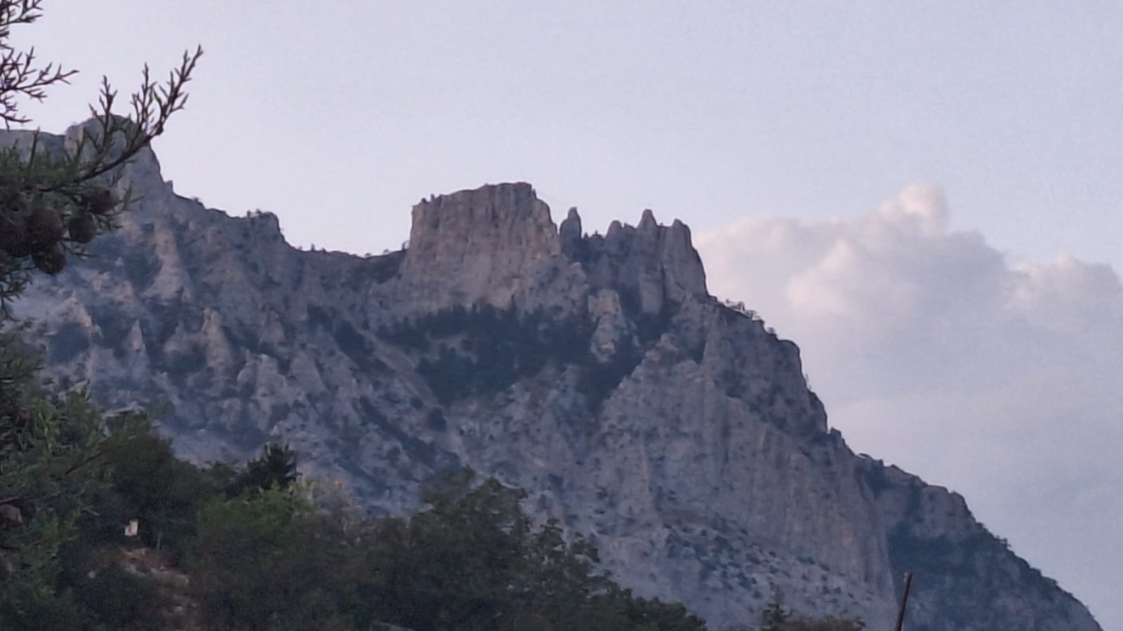 Фото Форест