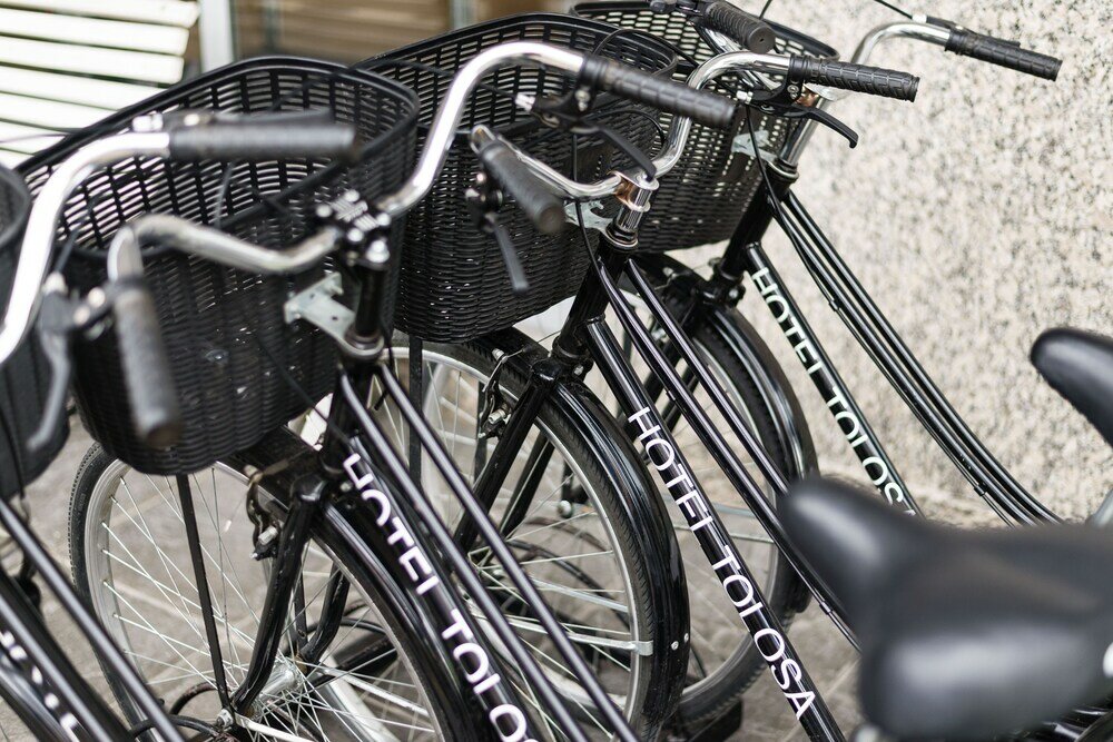 Фото Hotel Tolosa