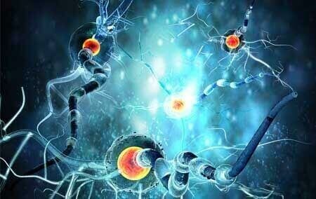 Hospital Prof. Dr. Alev Leventoglu Neurology Specialist, Ankara, photo