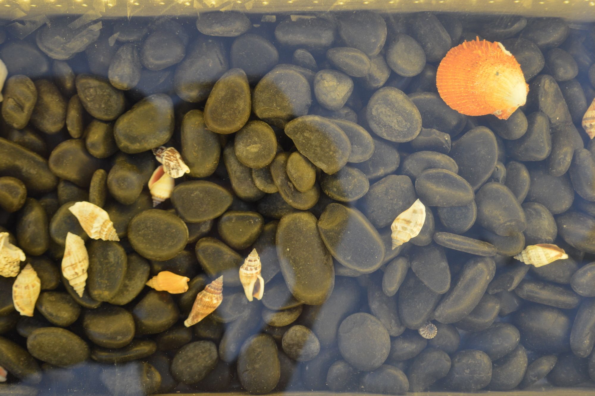 Фото Flaskos Suites