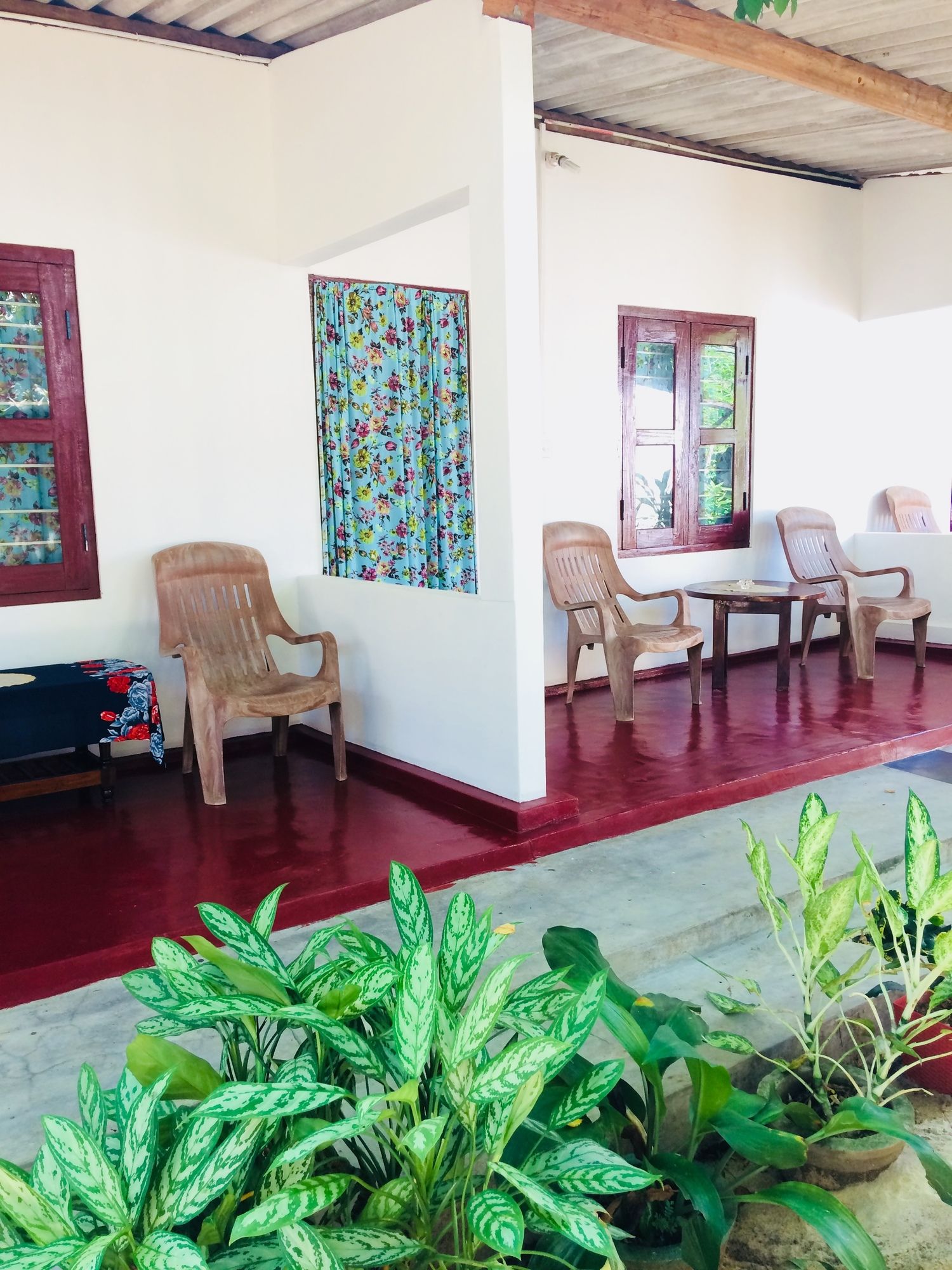 Фото Tropicana homestay