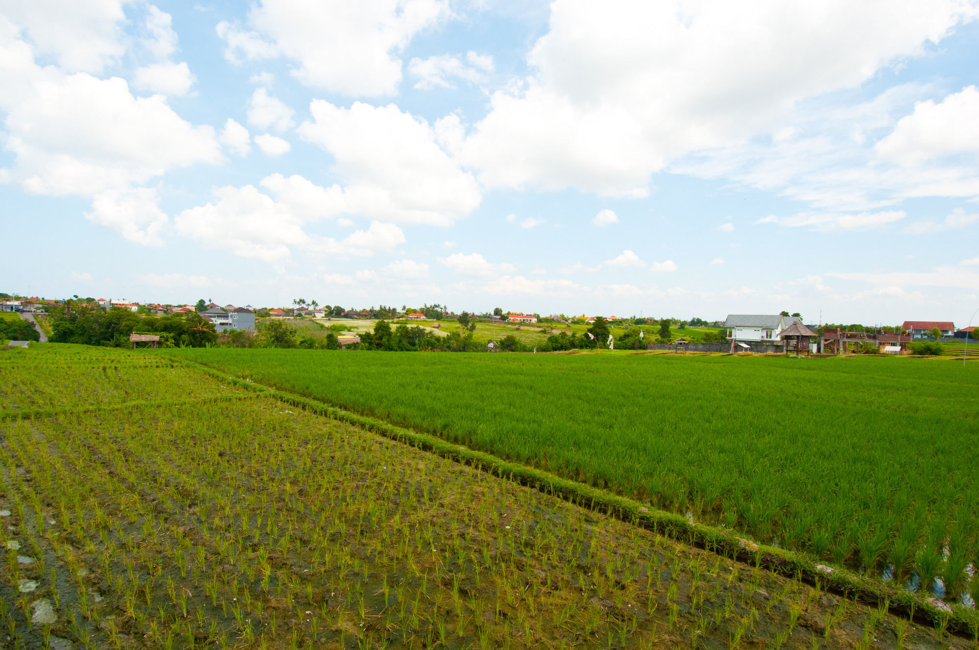 Фото Villa Kedis