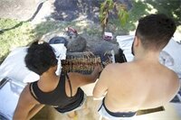 Фото Shiralea Resort