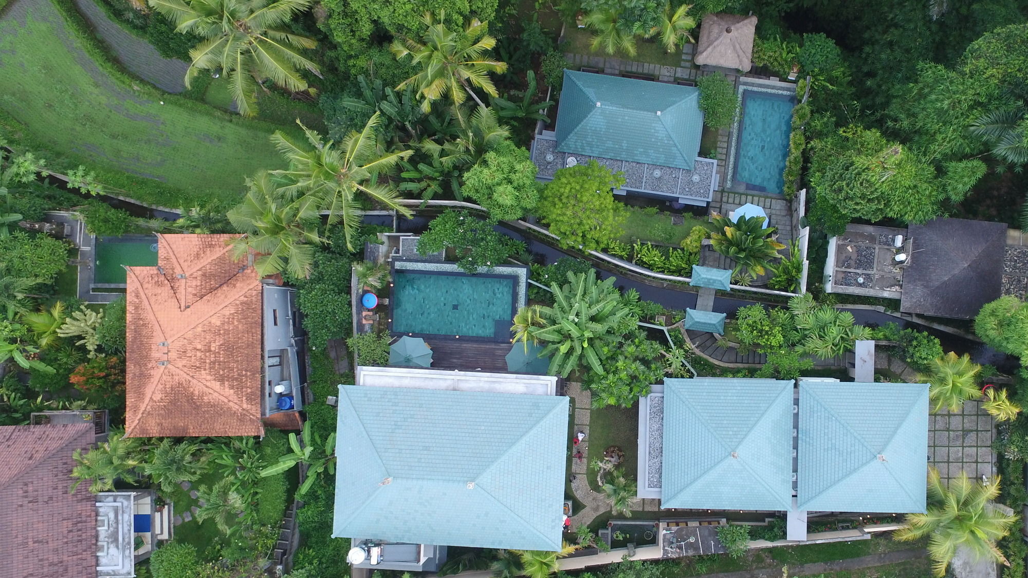 Фото D'Legon Luxury Villas