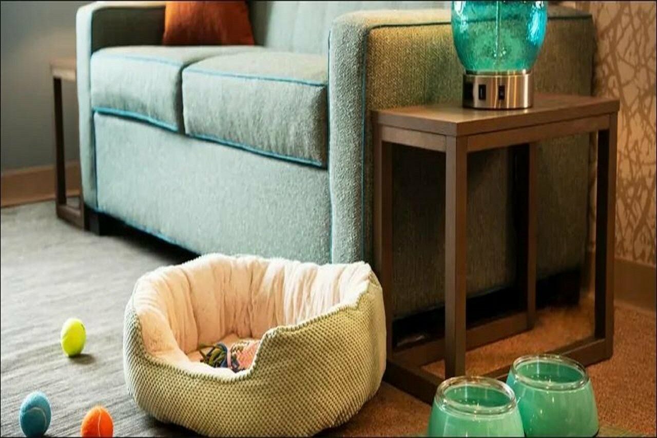 Фото Home2 Suites Corpus Christi Southeast