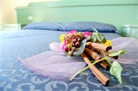 Фото Hotel San Francisco