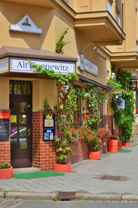 Гостиница Hotel Alt-Connewitz