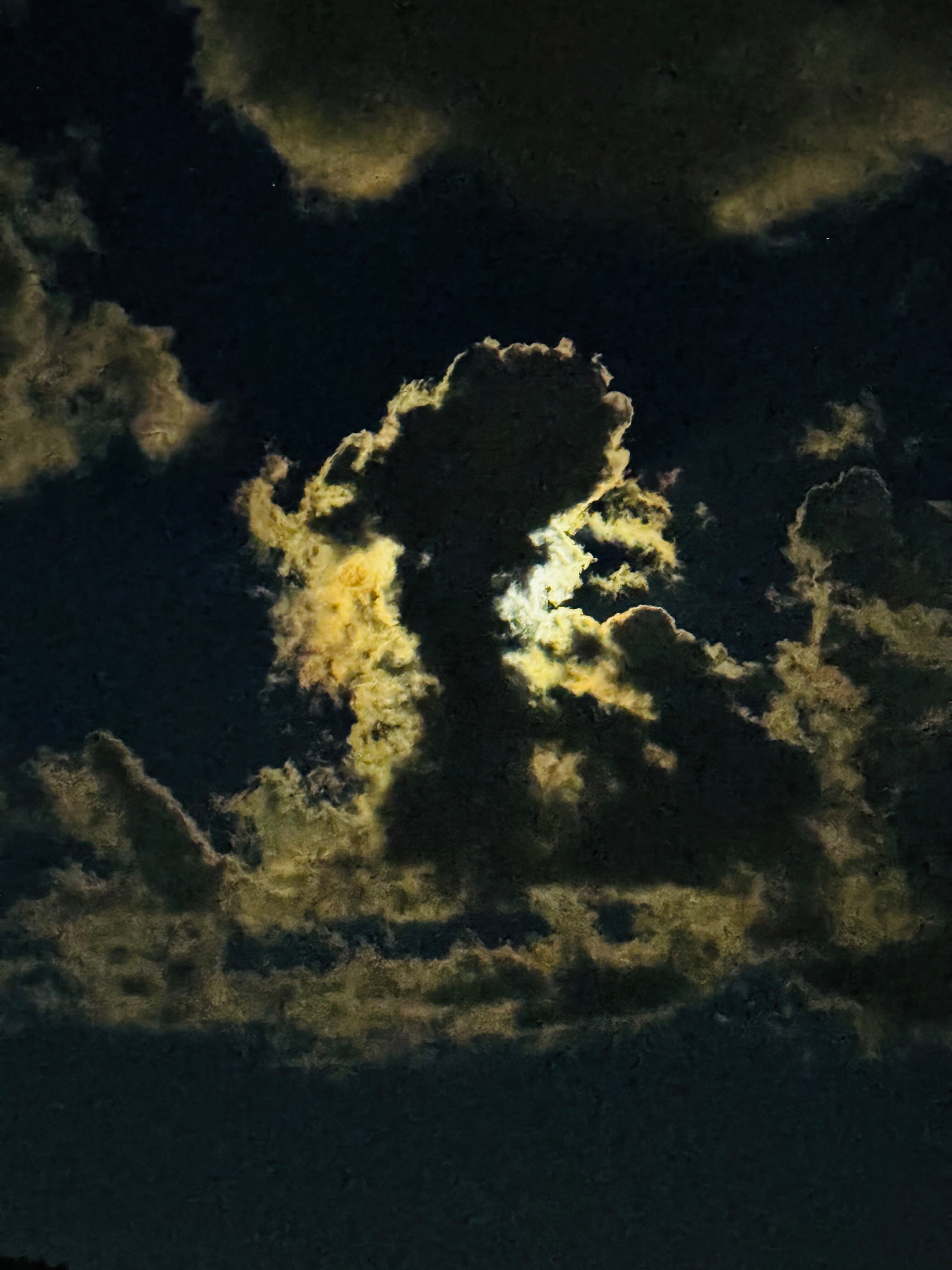 Фото 160789207254